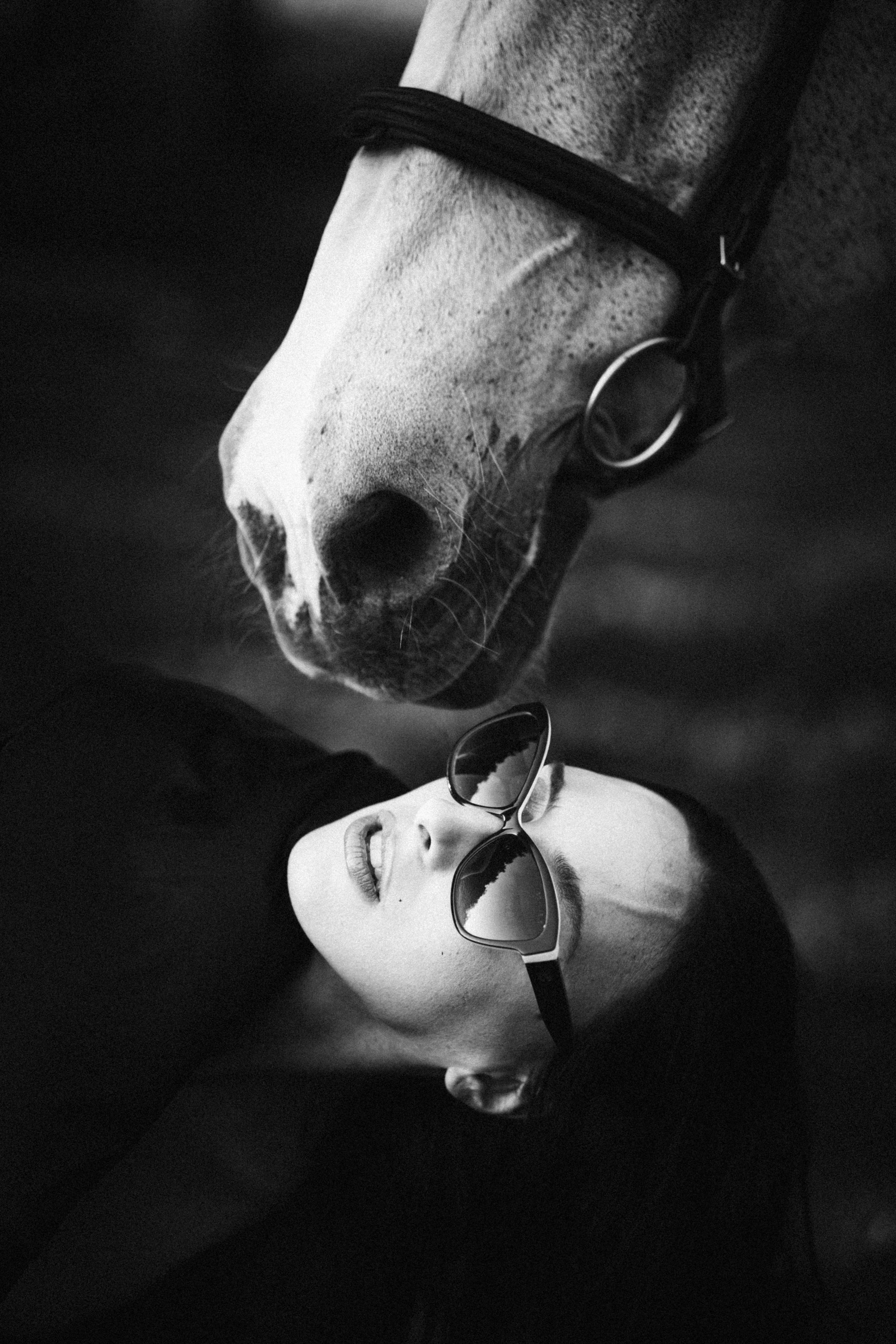 Девушка и лошадь