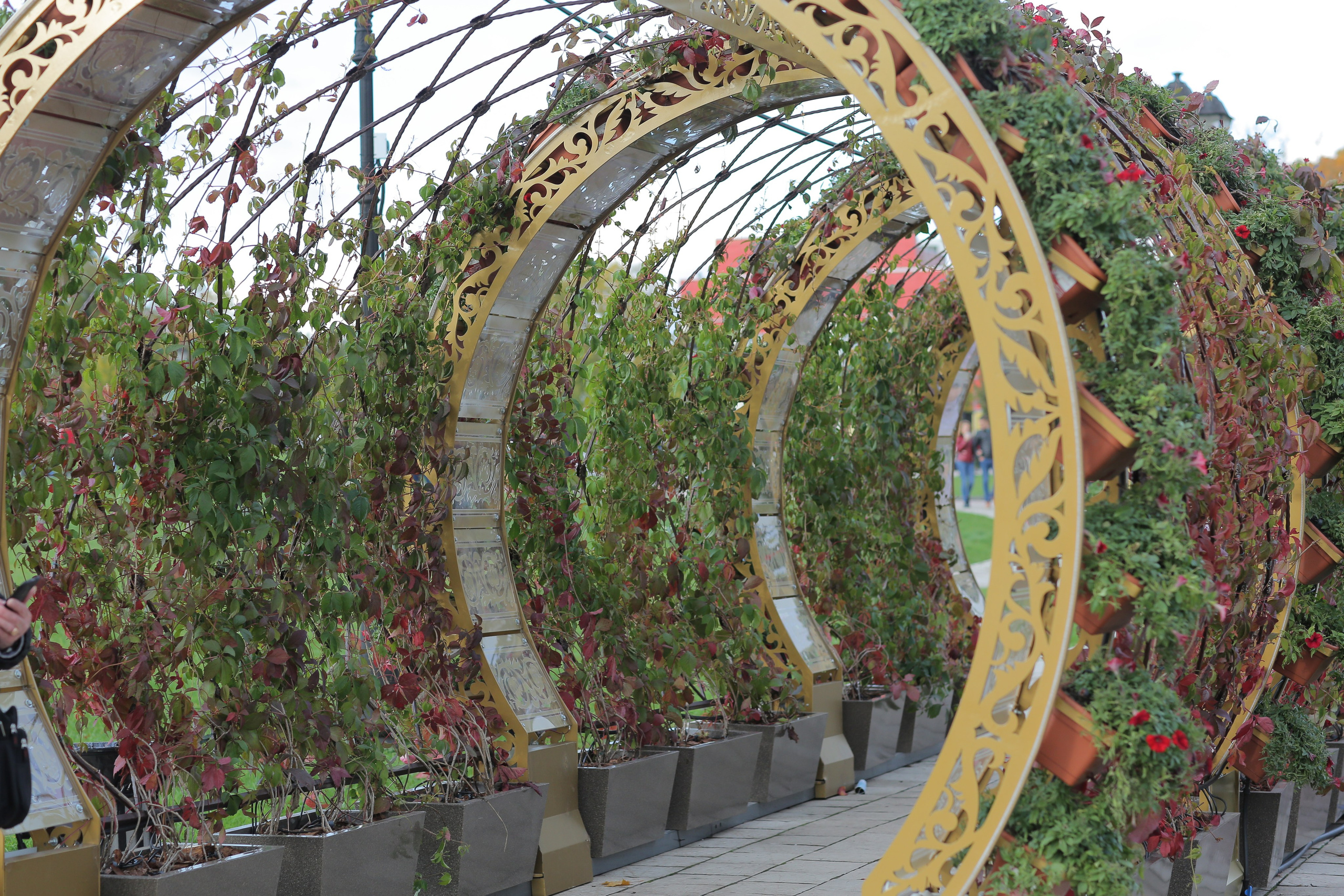 Фото Москвы. Студия Максима Белослюдцева