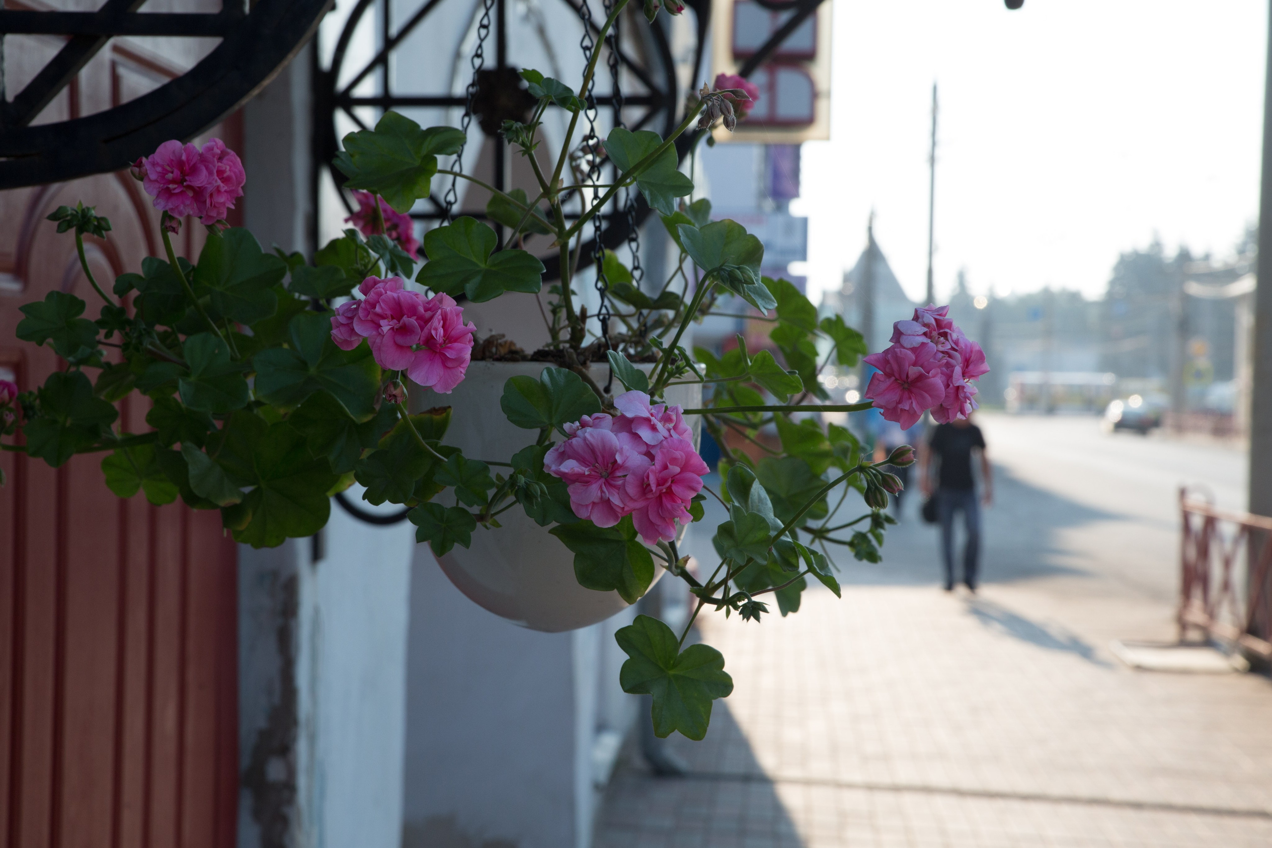 Г. Ярославль. Студия Максима Белослюдцева
