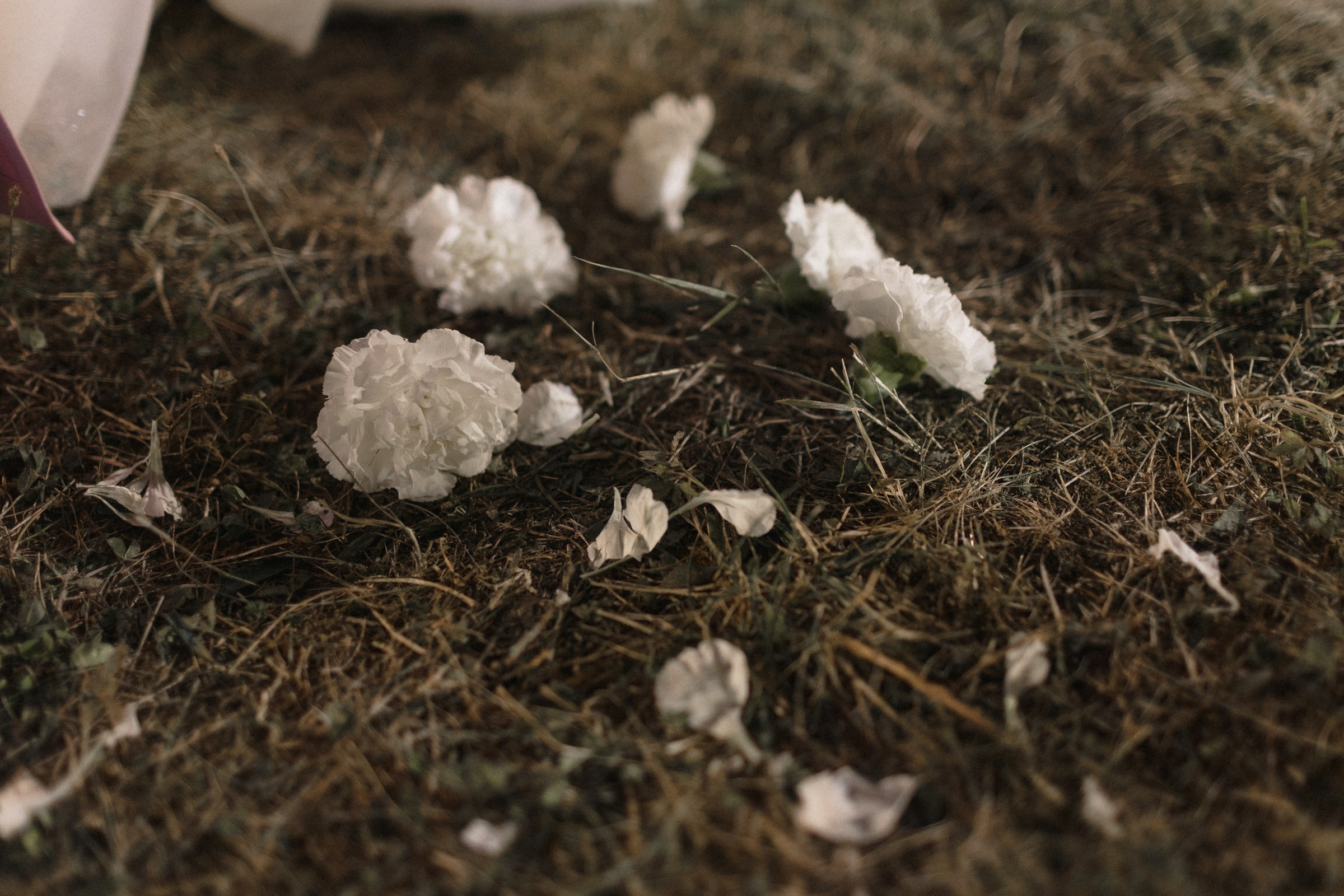 Ты-семья. Sovushka DS