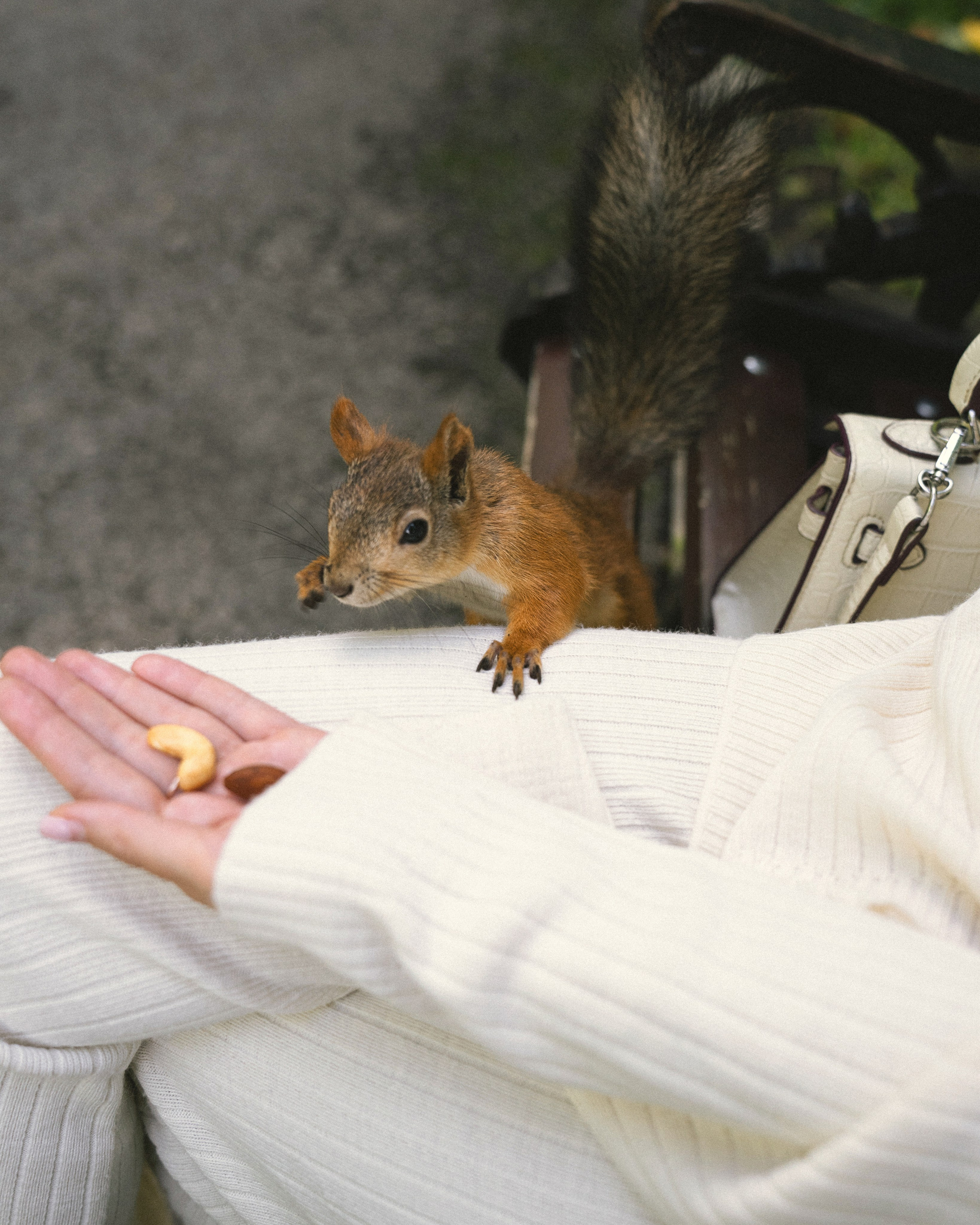 Женский портрет outdoor. Лиана Аскерова ваш фотограф в Санкт-Петербурге