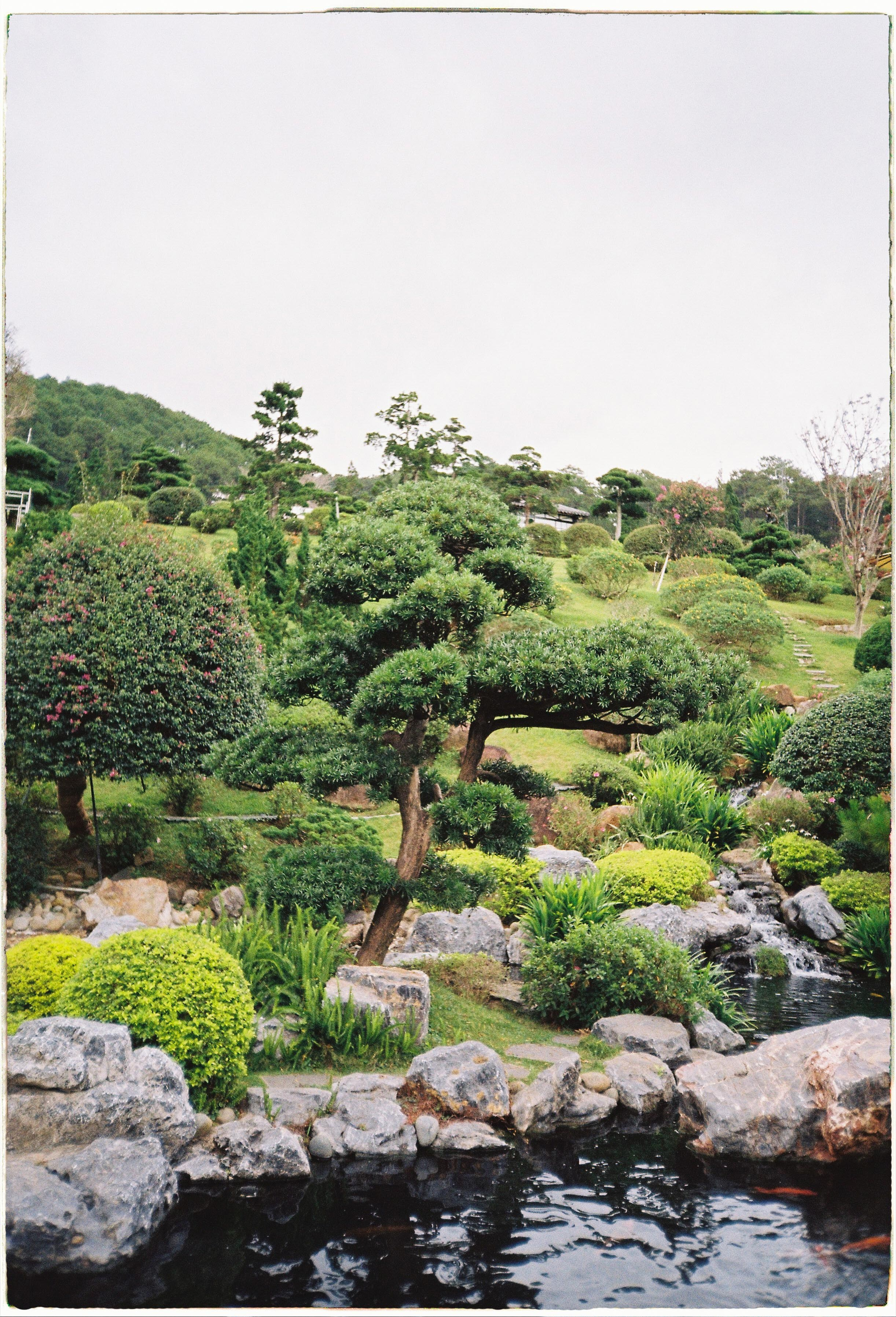 Que garden. Film Photographer in Da Nang, Vietnam — Tanya Parfenteva