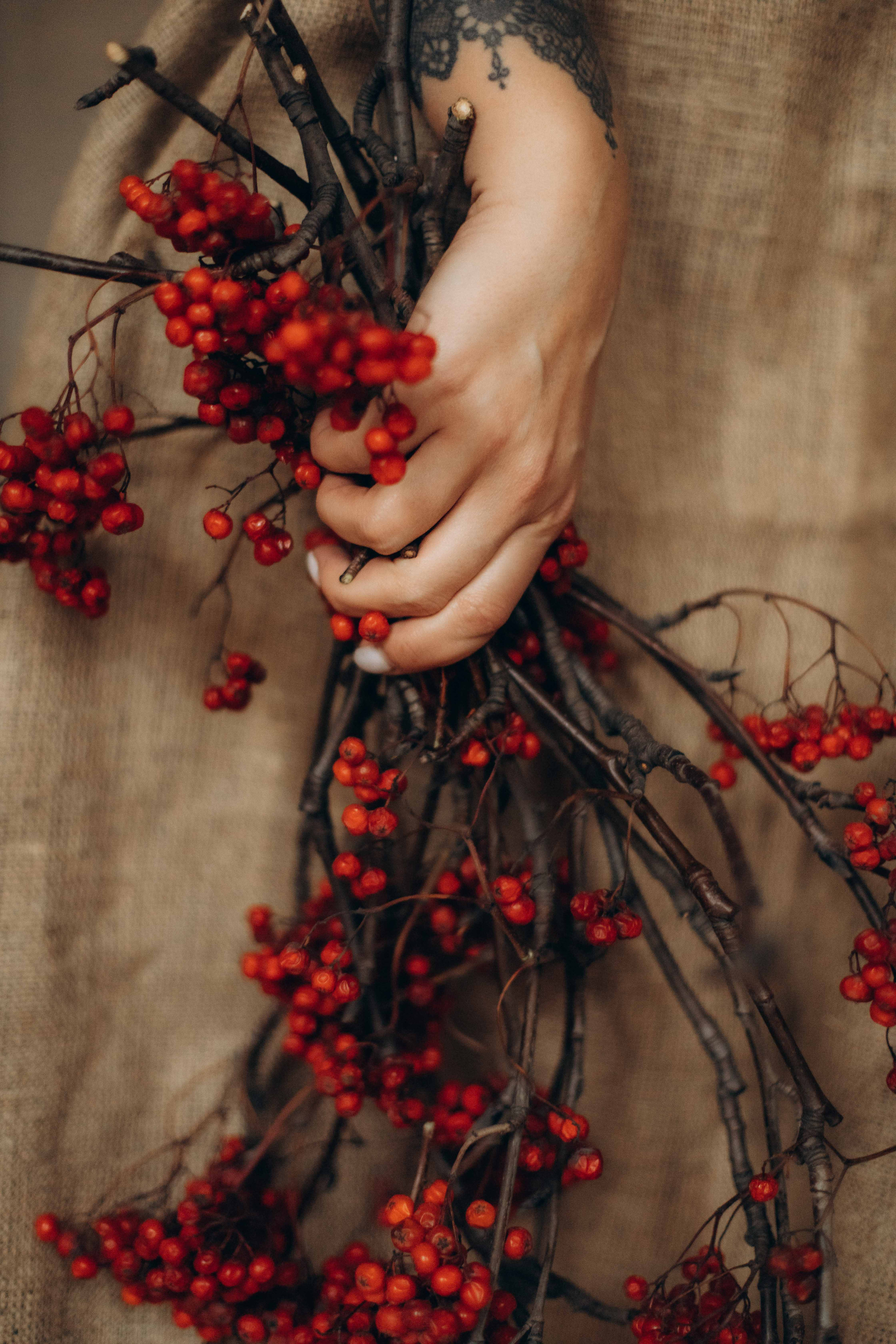 Рябина красная. Фотограф на роды в Санкт-Петербурге Екатерина Сысоева