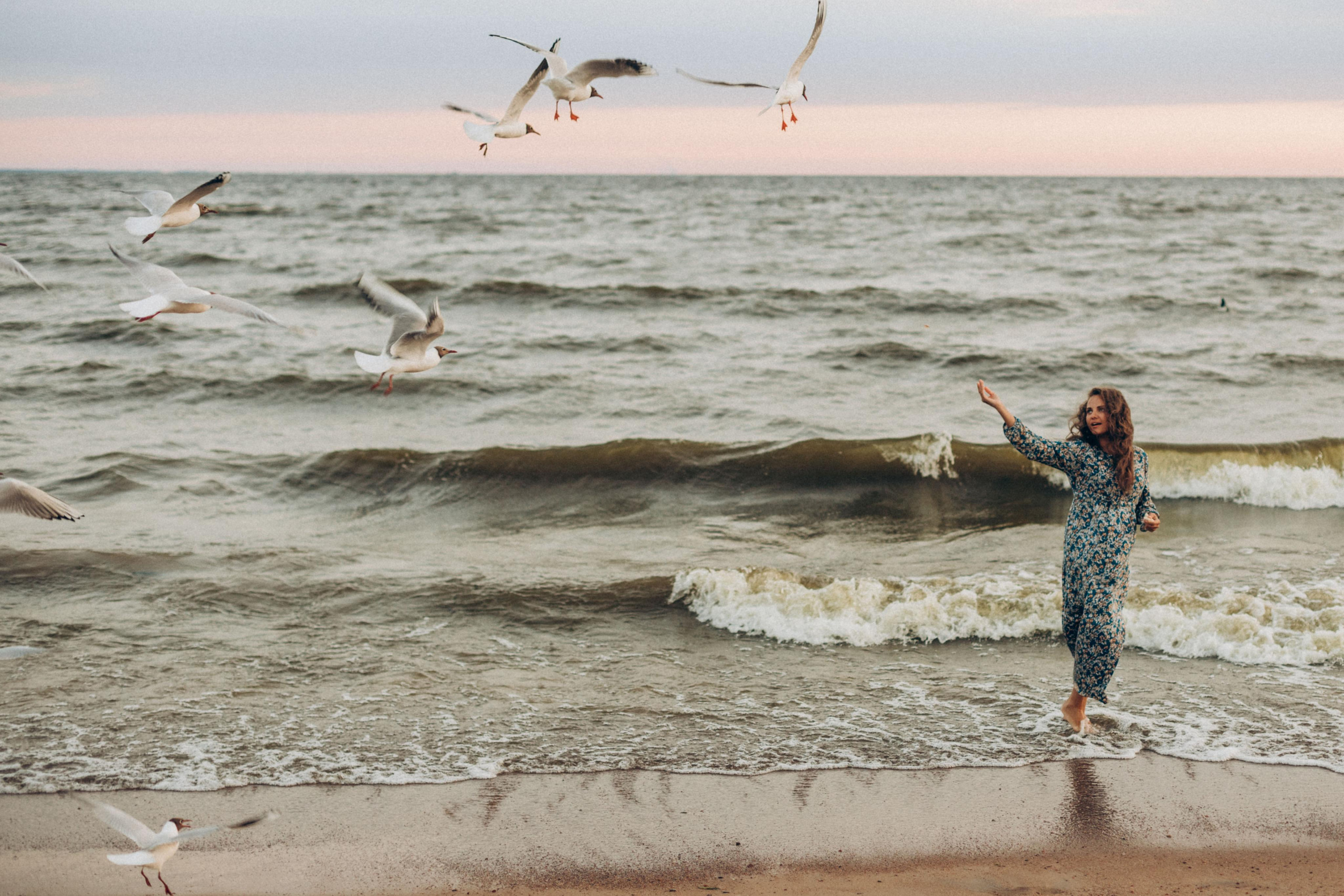 Голодные чайки Финского. Фотограф на роды в Санкт-Петербурге Екатерина Сысоева