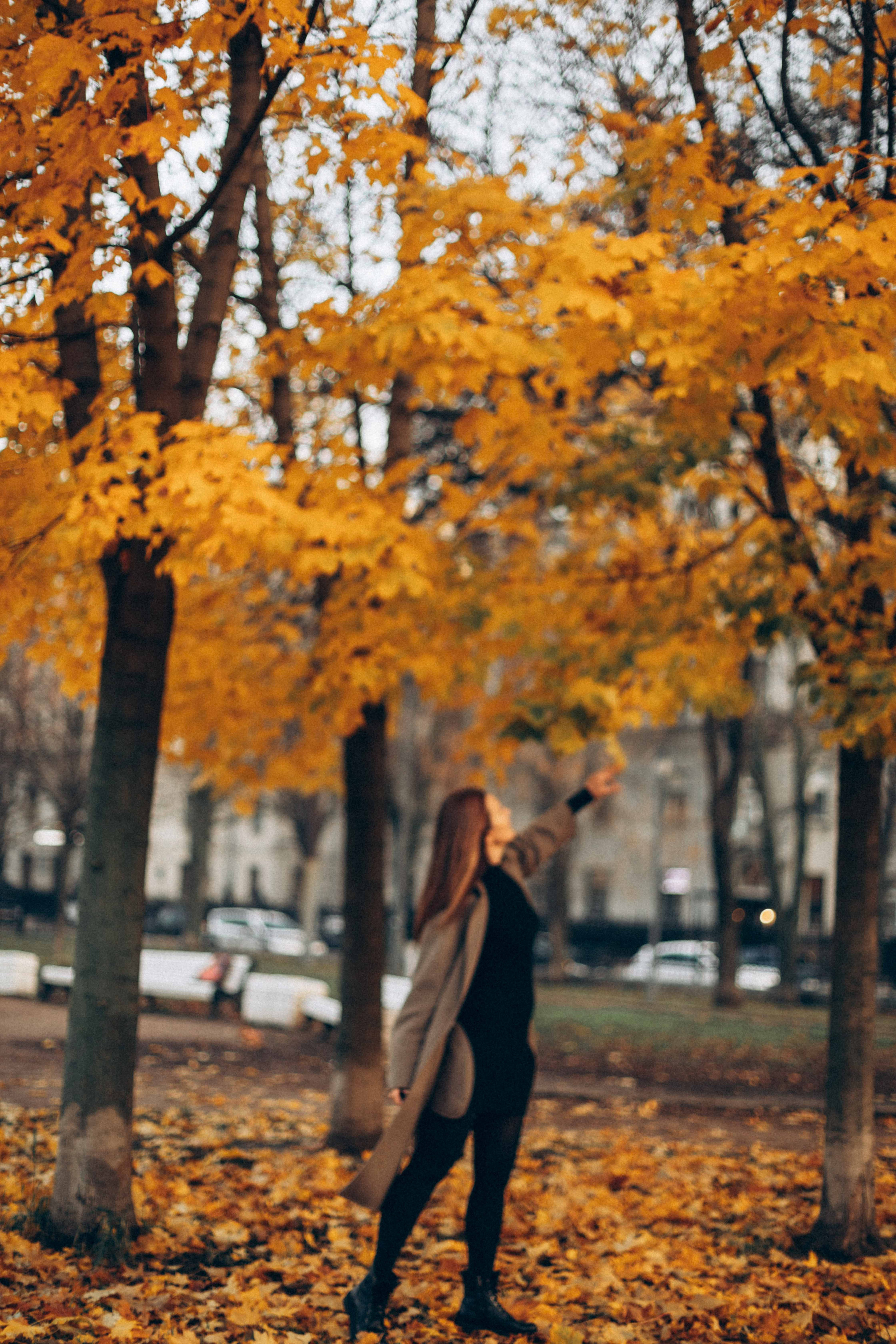 Рассветное утро. Фотограф на роды в Санкт-Петербурге Екатерина Сысоева