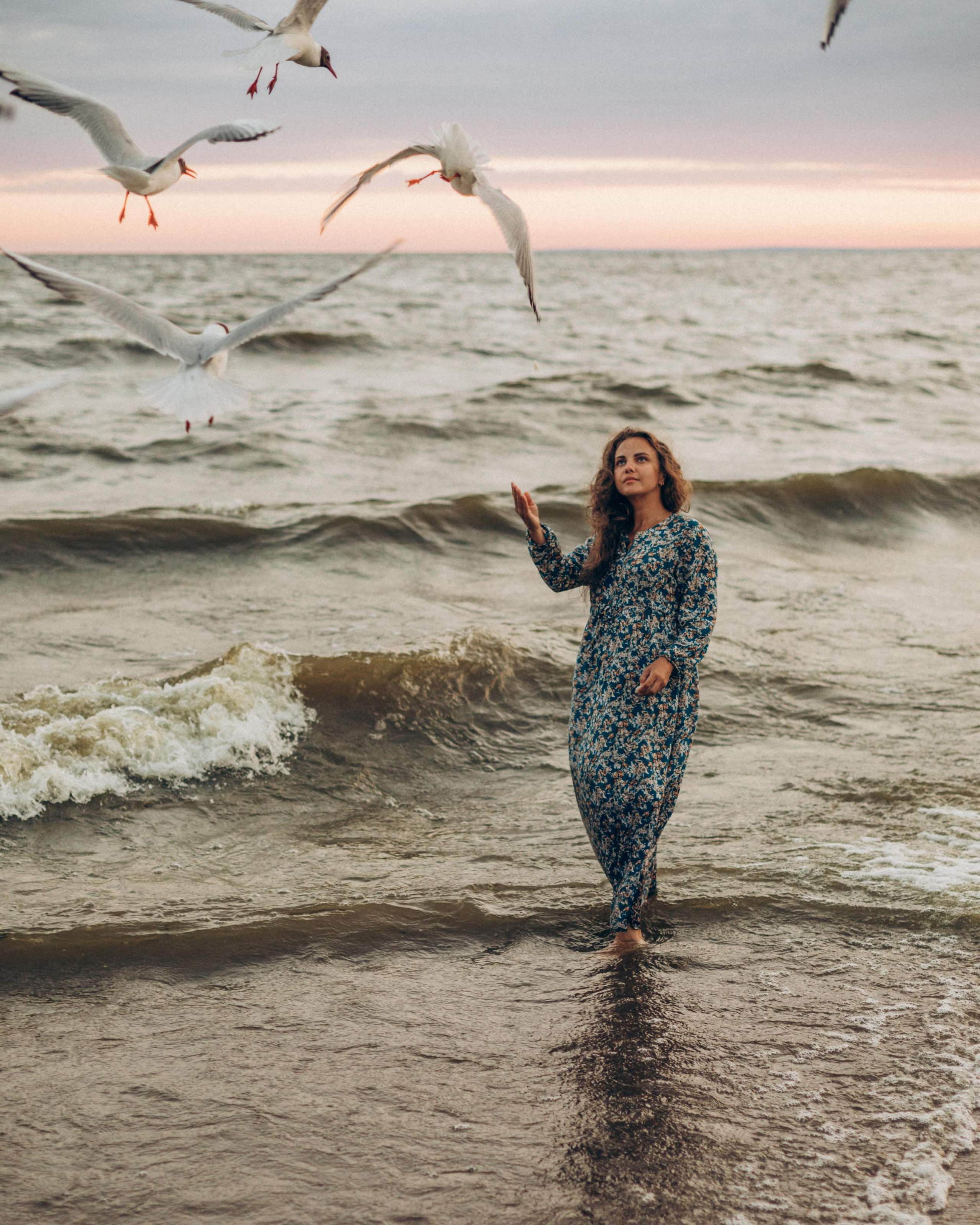 Голодные чайки Финского. Фотограф на роды в Санкт-Петербурге Екатерина Сысоева
