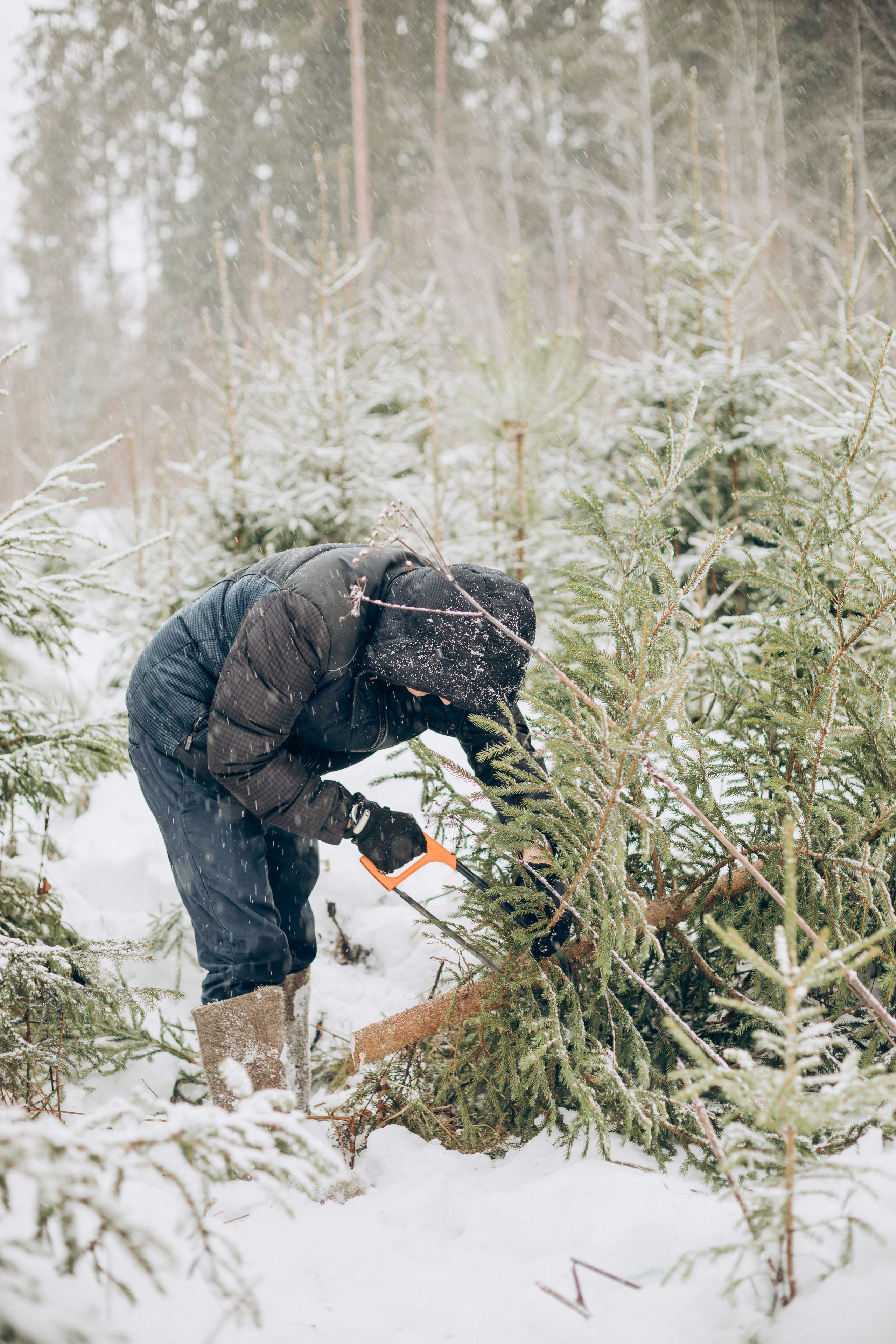 Загадай желание. Фотограф на роды в Санкт-Петербурге Екатерина Сысоева