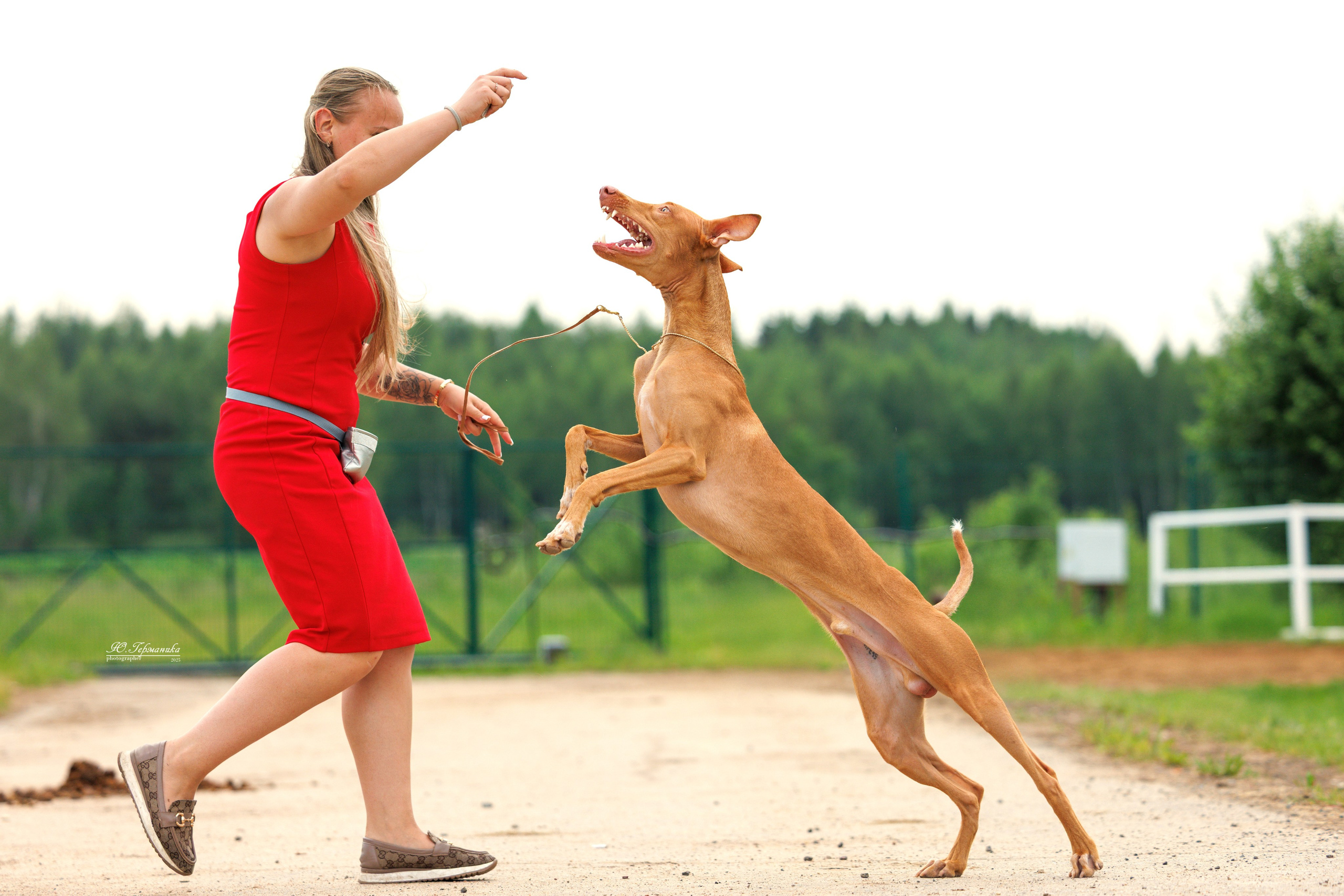 РОССИЯ 7-8.06.2025. Фотограф-анималист Юлия Германика