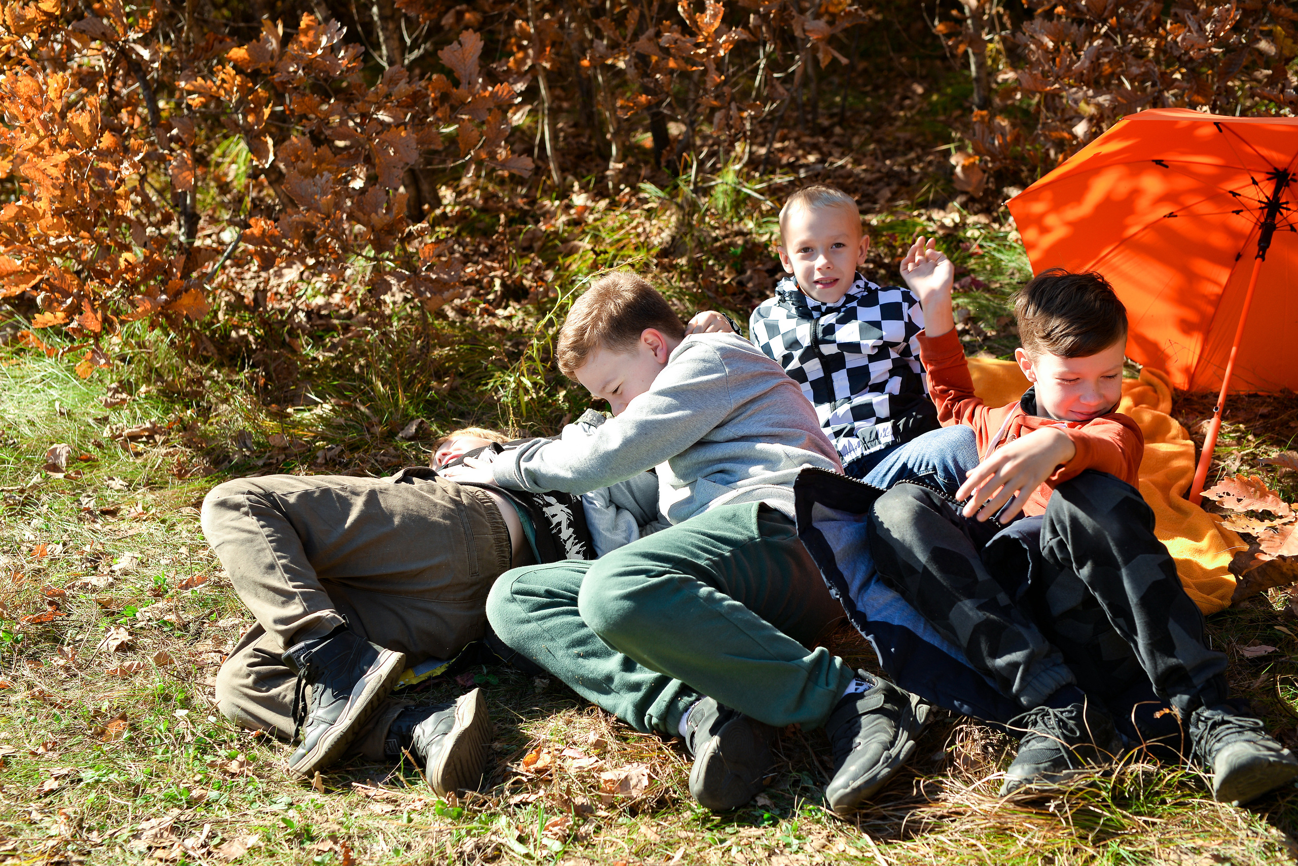 «Осень»  4 класс. Школьный фотограф в Свободном Анастасия Косицына