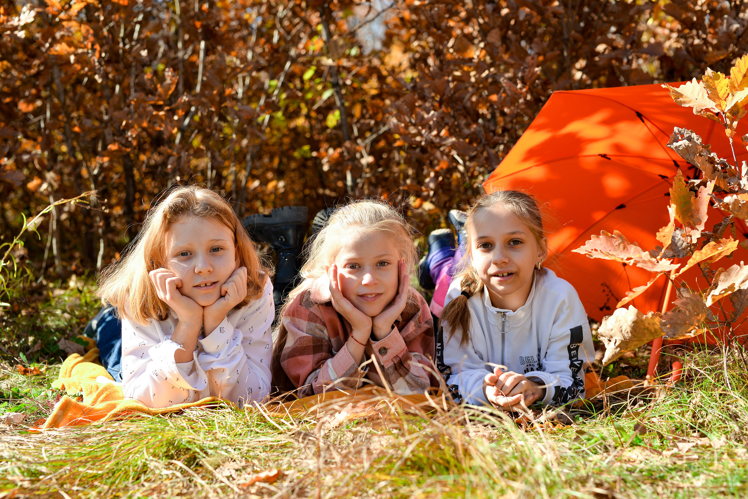 «Осень»  4 класс. Школьный фотограф в Свободном Анастасия Косицына