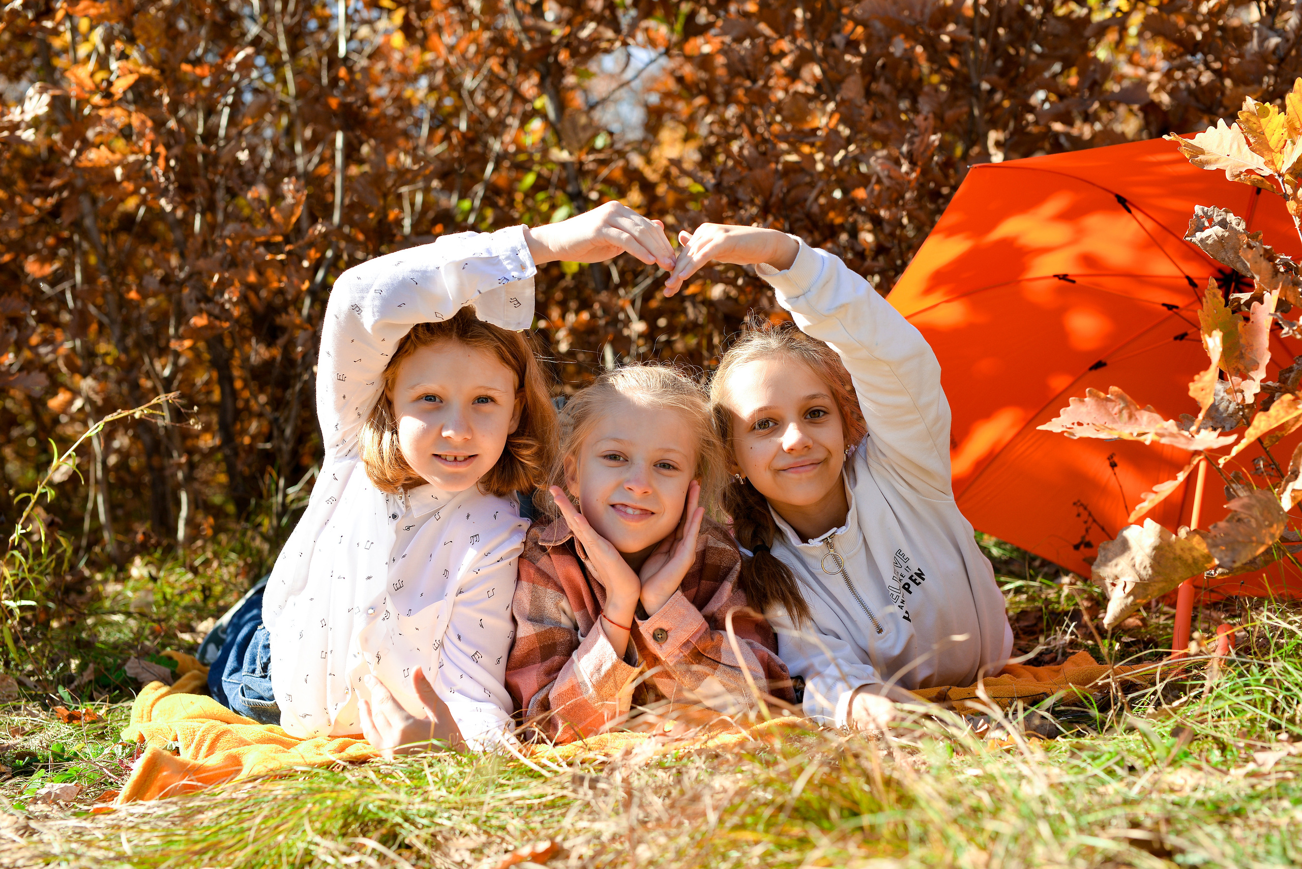 «Осень»  4 класс. Школьный фотограф в Свободном Анастасия Косицына