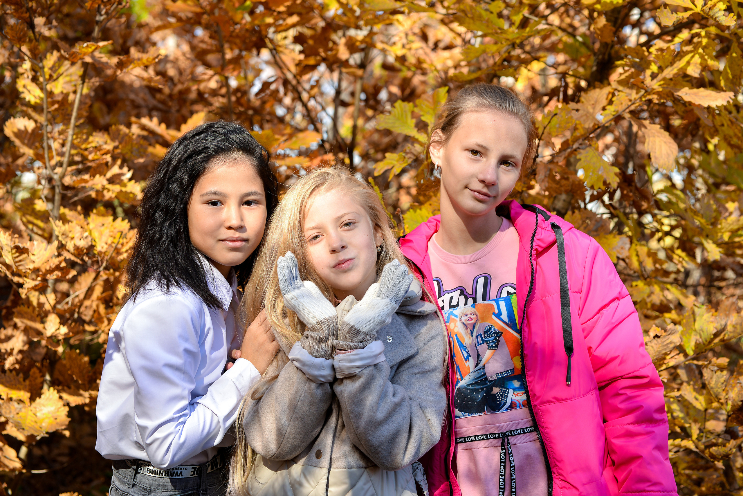 «Осень»  4 класс. Школьный фотограф в Свободном Анастасия Косицына