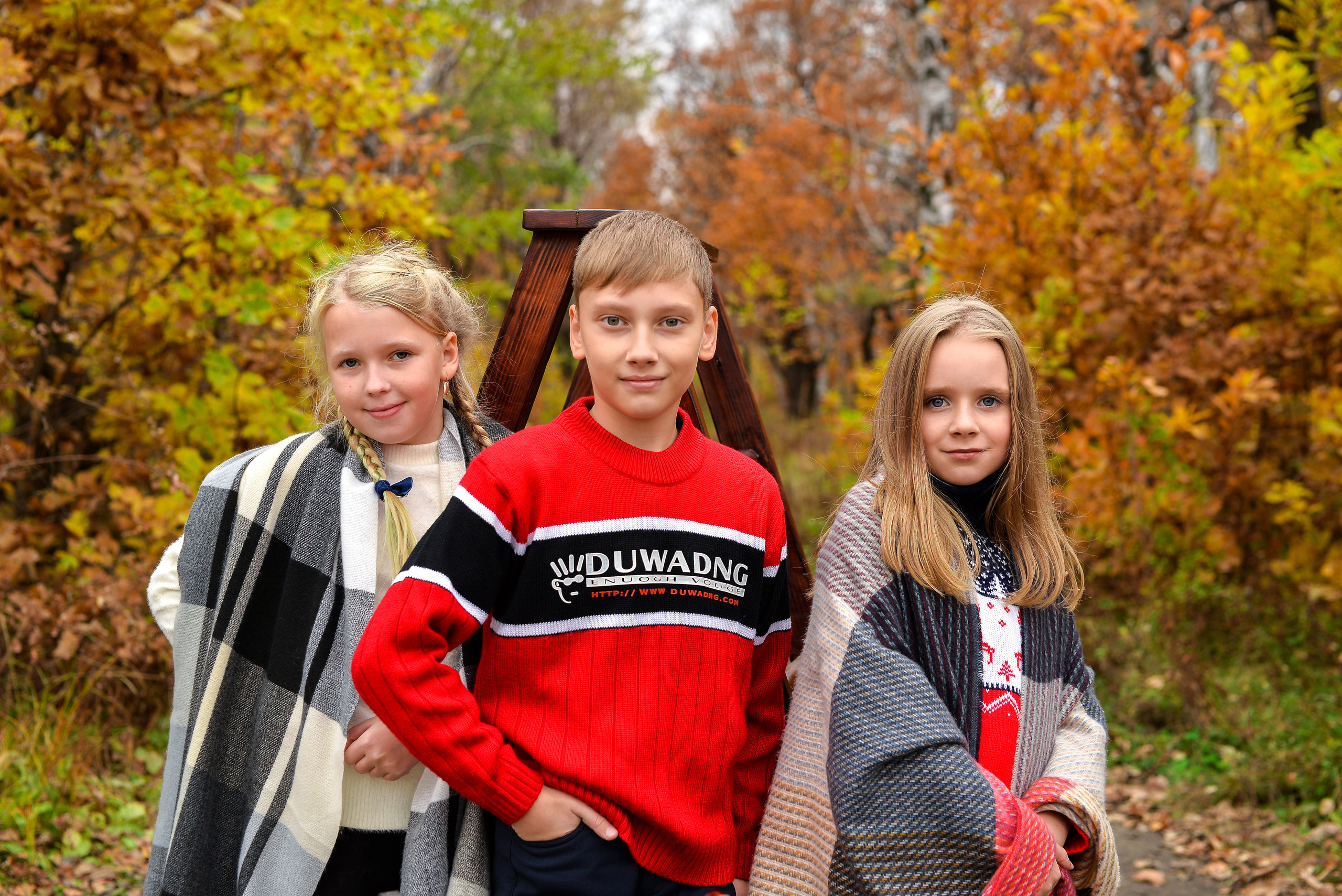 «Осень»  4 класс. Школьный фотограф в Свободном Анастасия Косицына