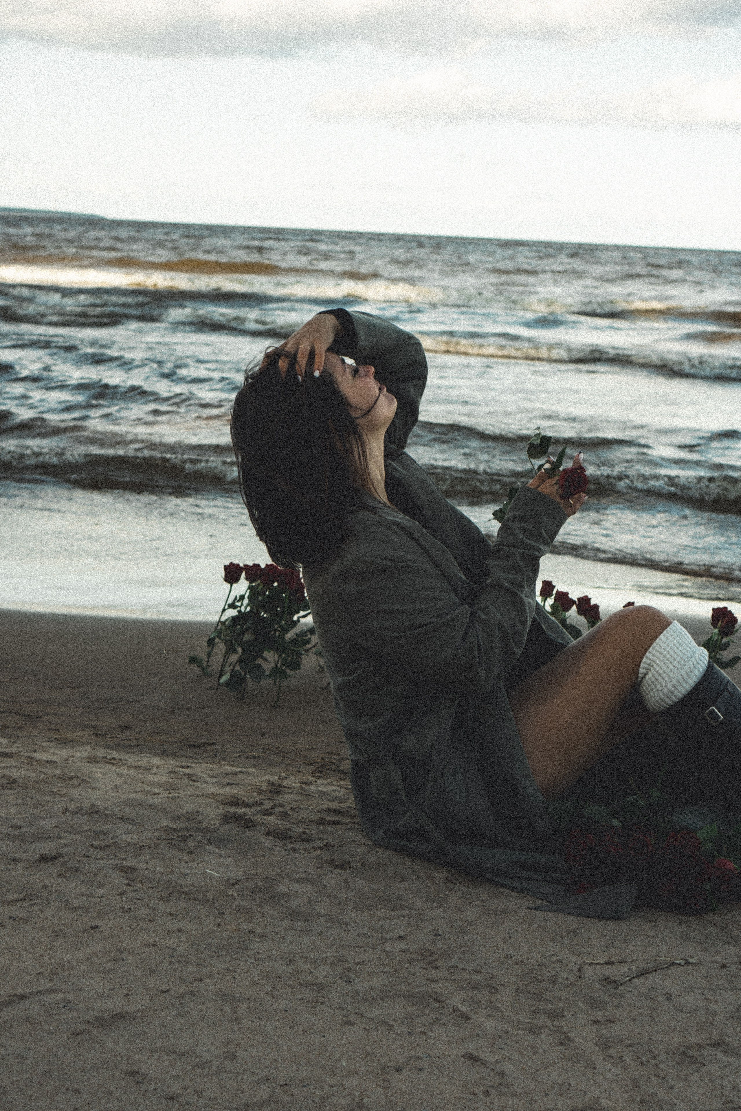 Розы. Профессиональный фотограф, Санкт-Петербург — Виктория Богомолова