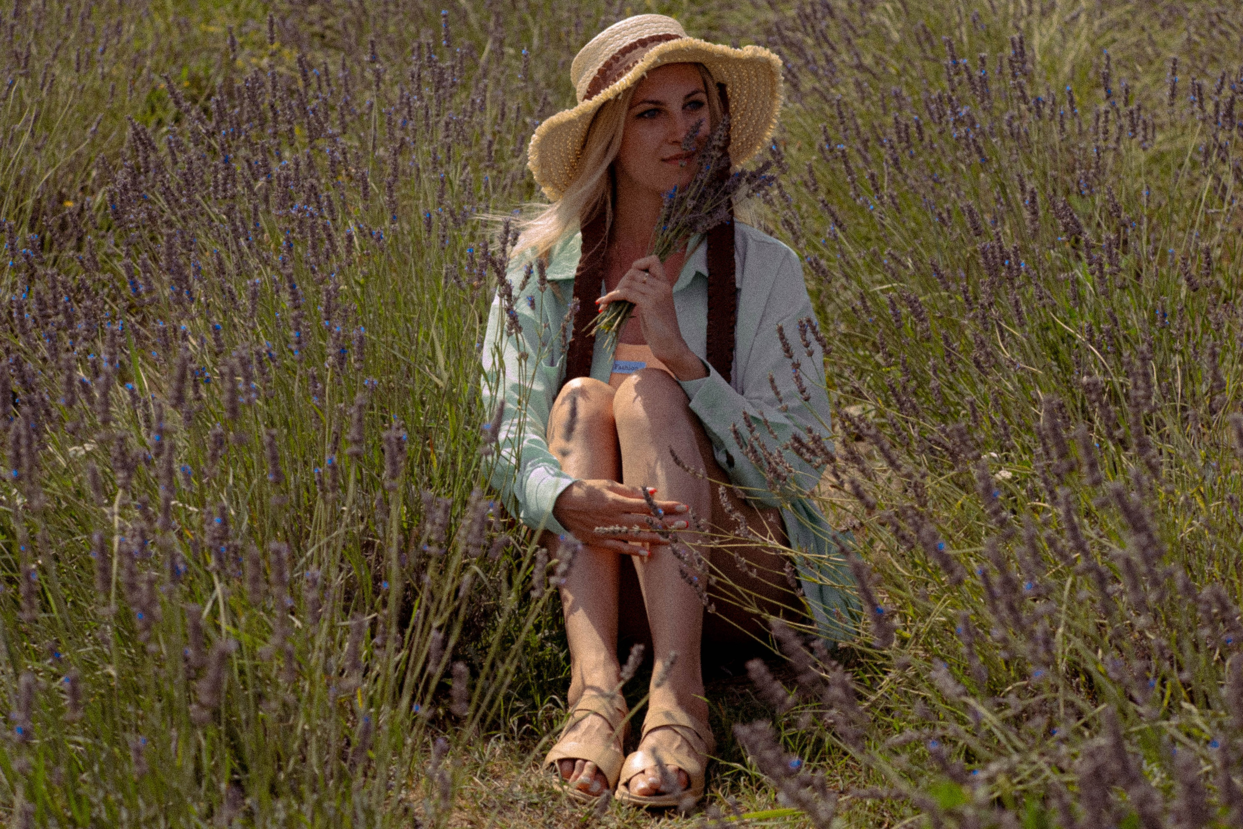 ЛАВАНВОДОВОЕ ПОЛЕ. Профессиональный фотограф, Санкт-Петербург — Виктория Богомолова