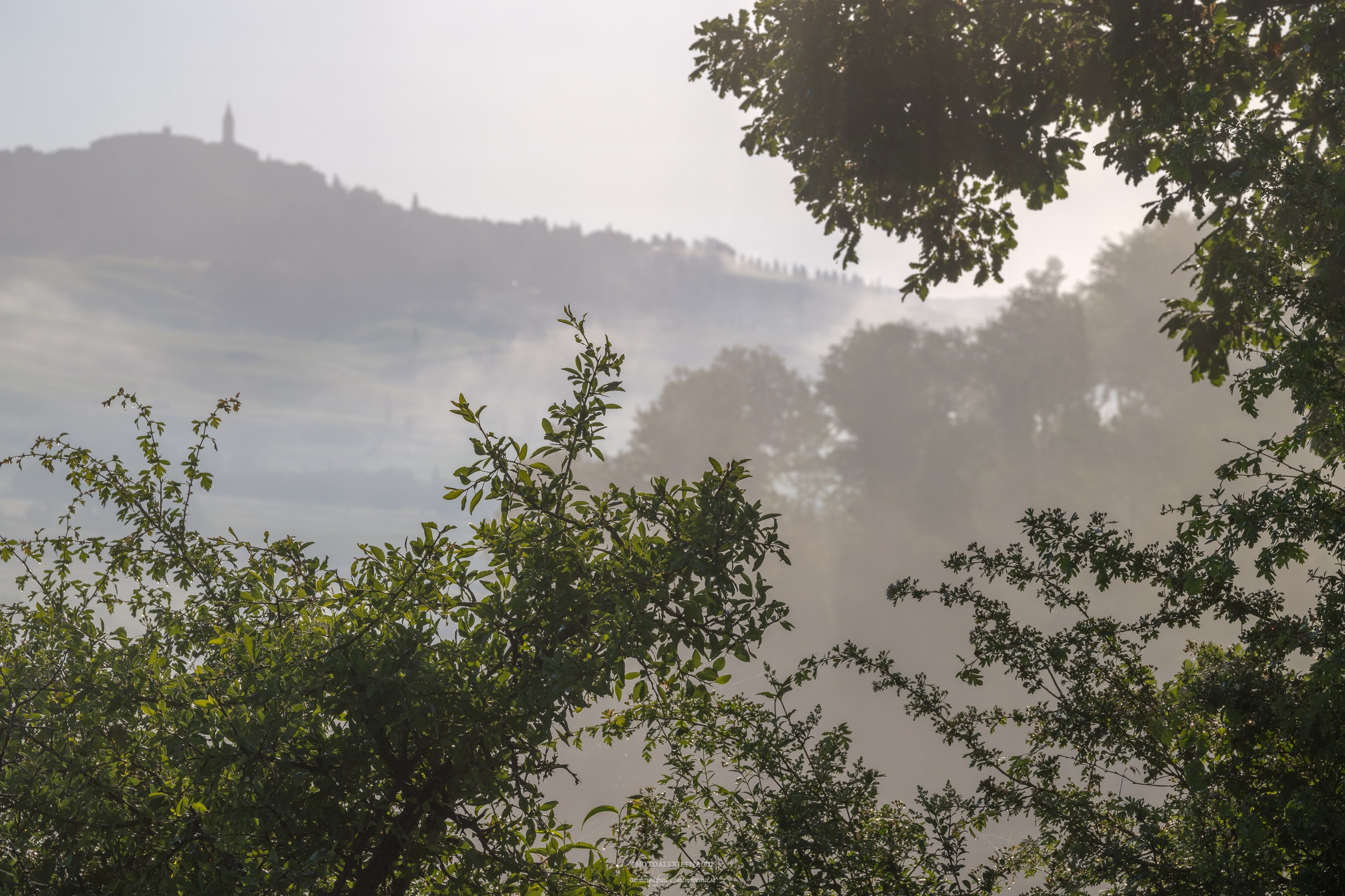Волшебное утро в Тоскане. Авторские стильные фотокартины