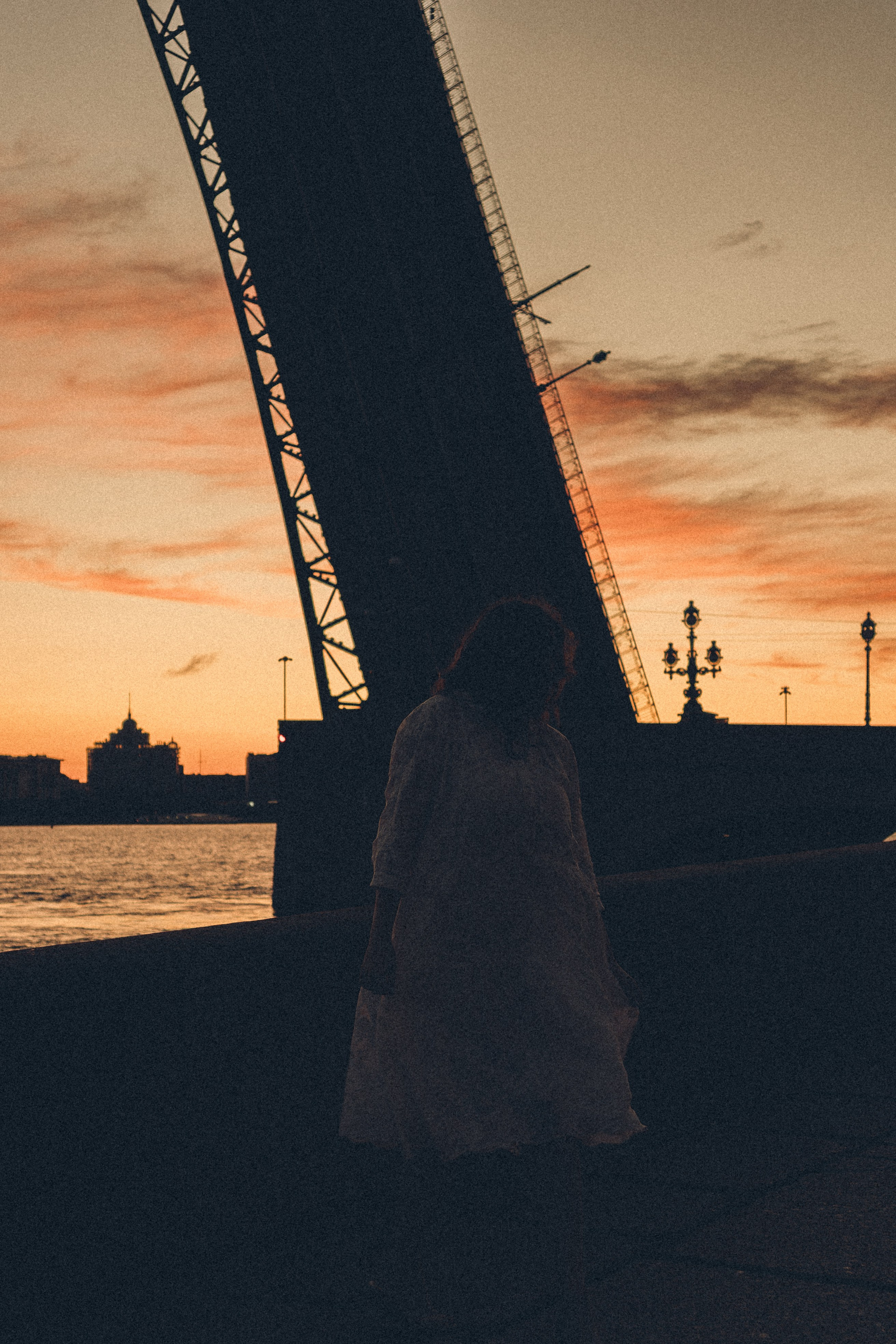 РАССВЕТ С РАЗВОДНЫМИ МОСТАМИ. Профессиональный фотограф, Санкт-Петербург — Виктория Богомолова