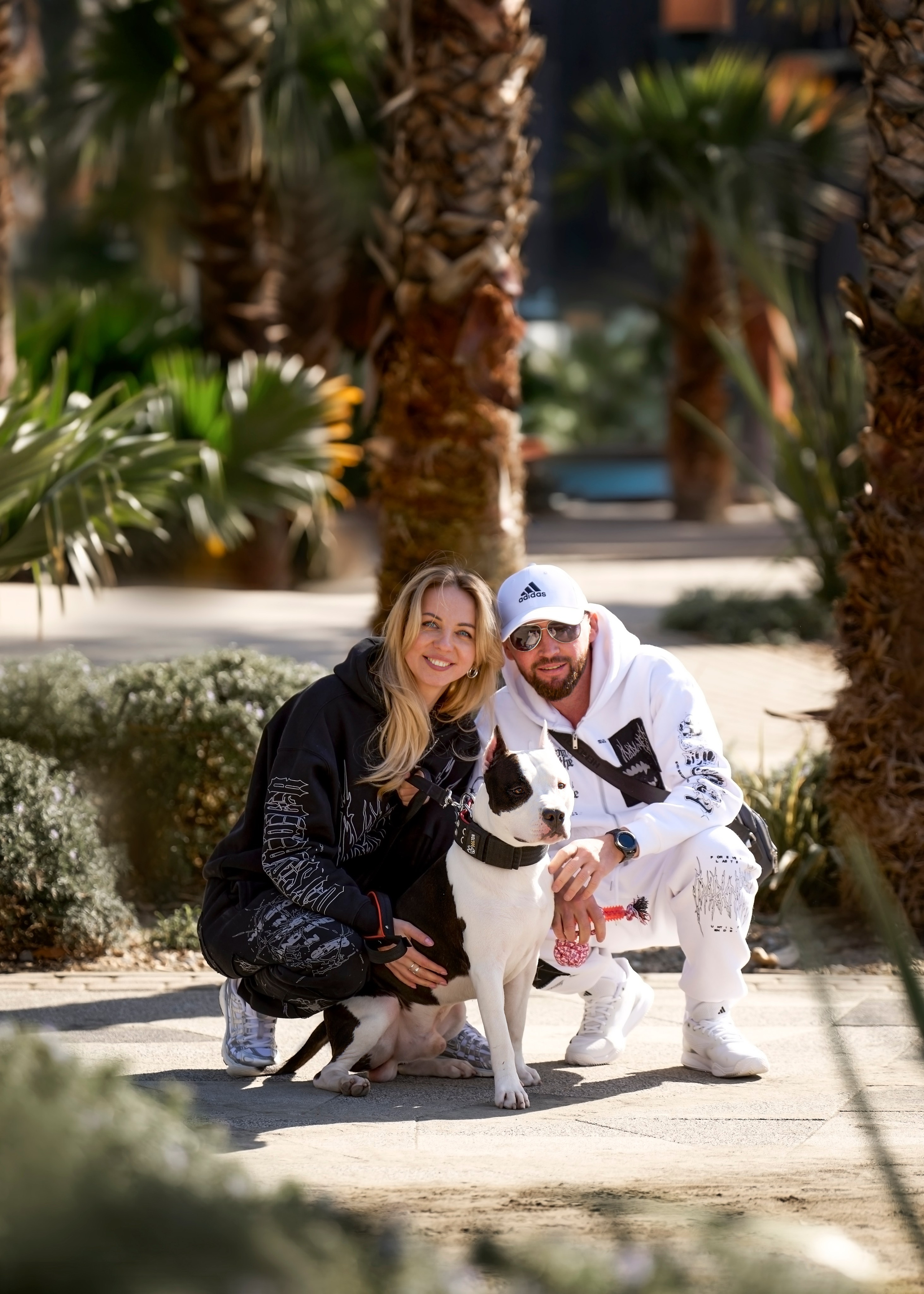 семейная фотосессия с амстаффом 