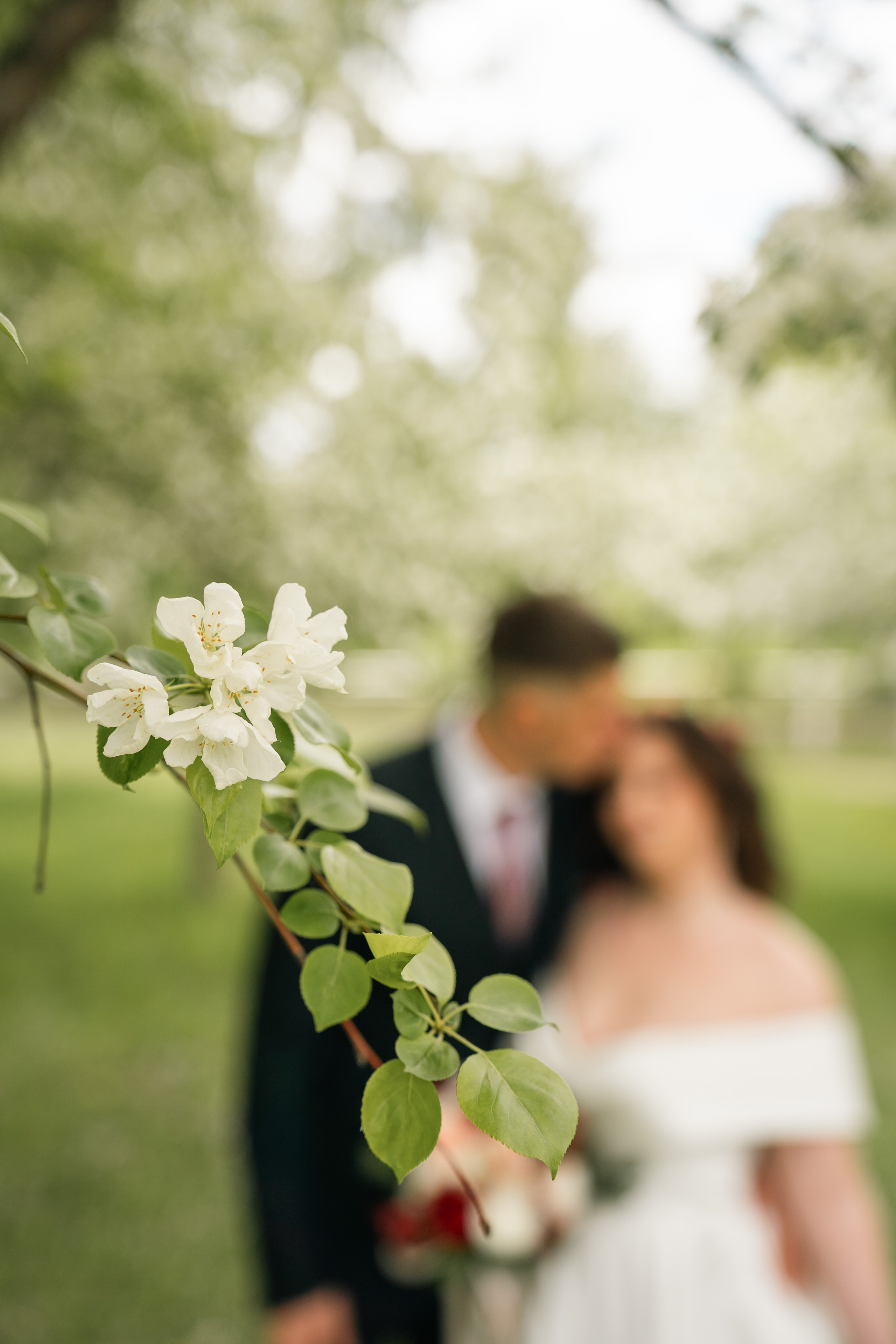 Леонид и Евгения. Фотограф и видеограф Олег Игнатов | Свадьбы, Love Story, реклама и корпоративы — Красноярск