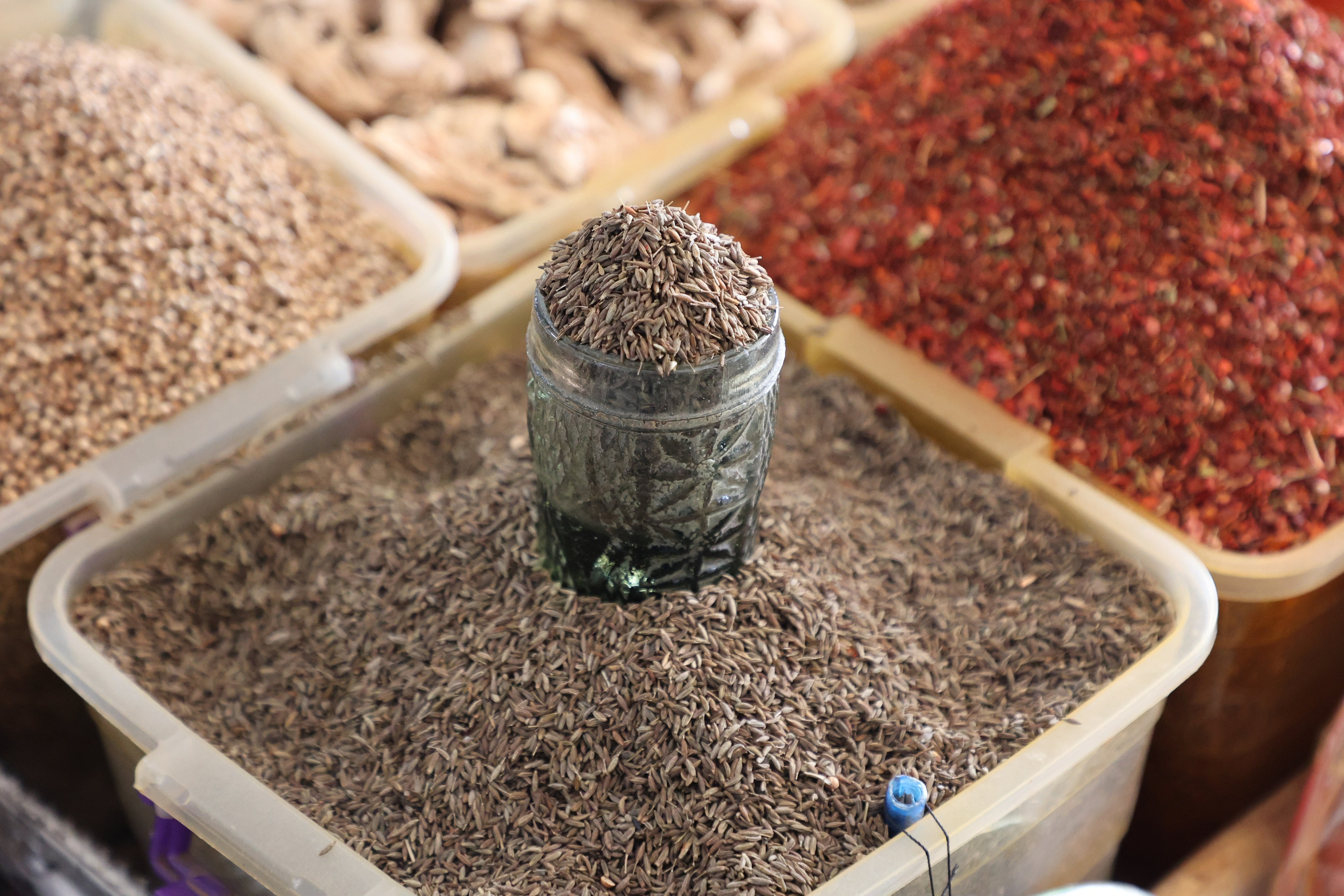 Tashkent, Uzbekistan. Andrey Filippov Photographer