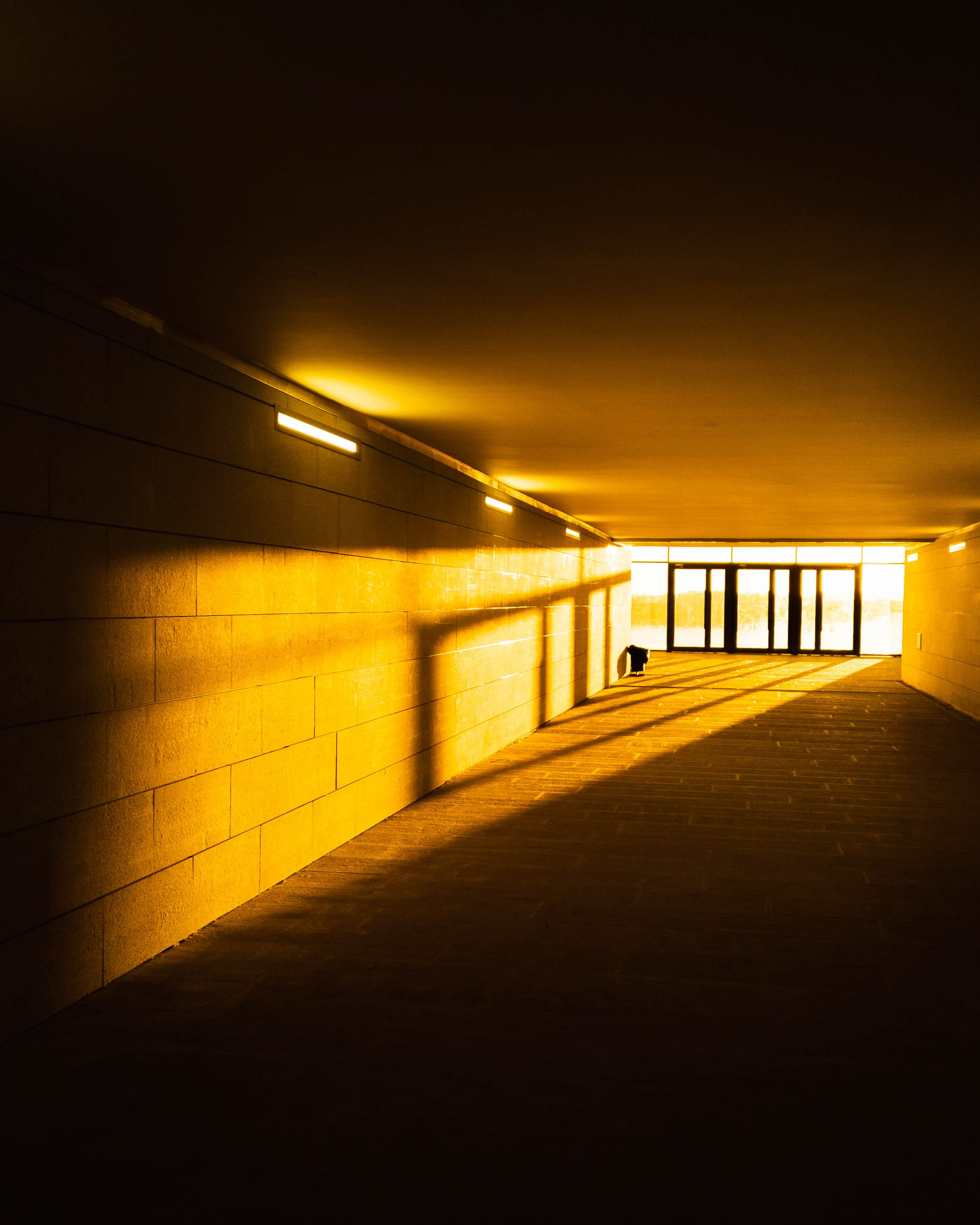 Уфа. Фотопрогулка. Олег Романов. Мастер фото по спорту