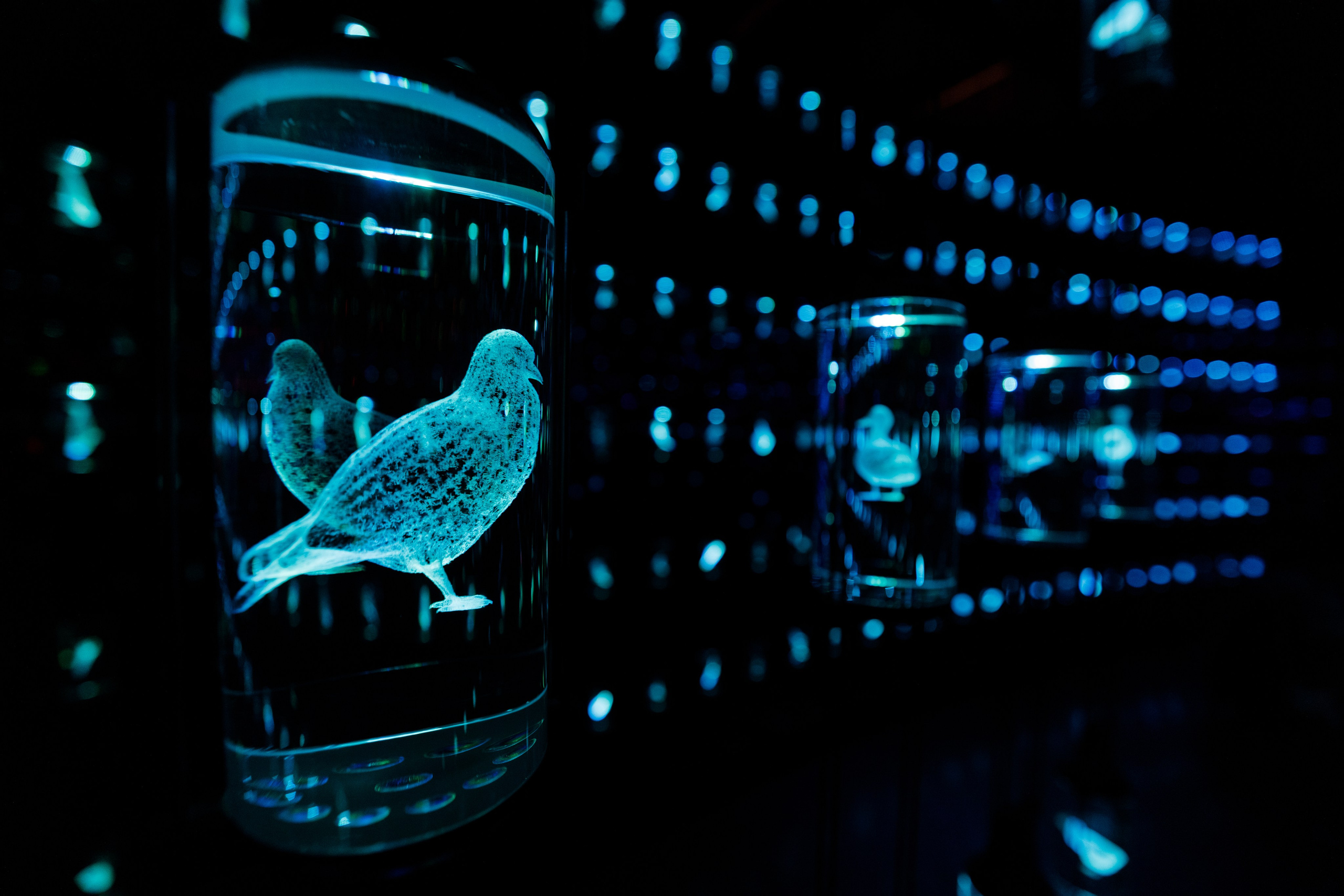 Дубай 2023. Руслан Плахтеев