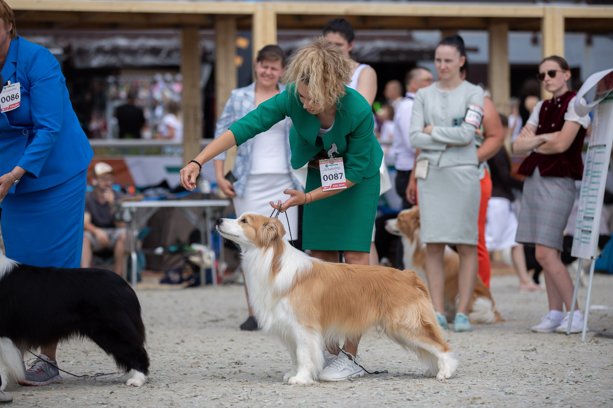 Репортаж с выставки Россия. Фотограф-анималист в Москве и Московской области Татьяна Фролова