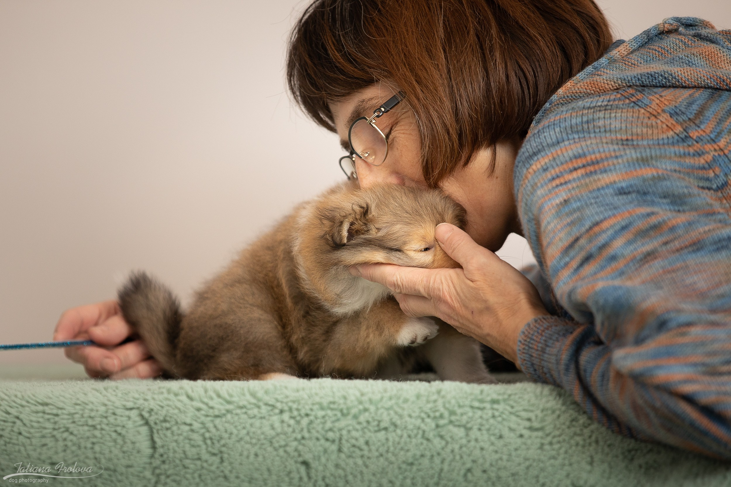 Съёмка щенков дома. Фотограф-анималист в Москве и Московской области Татьяна Фролова