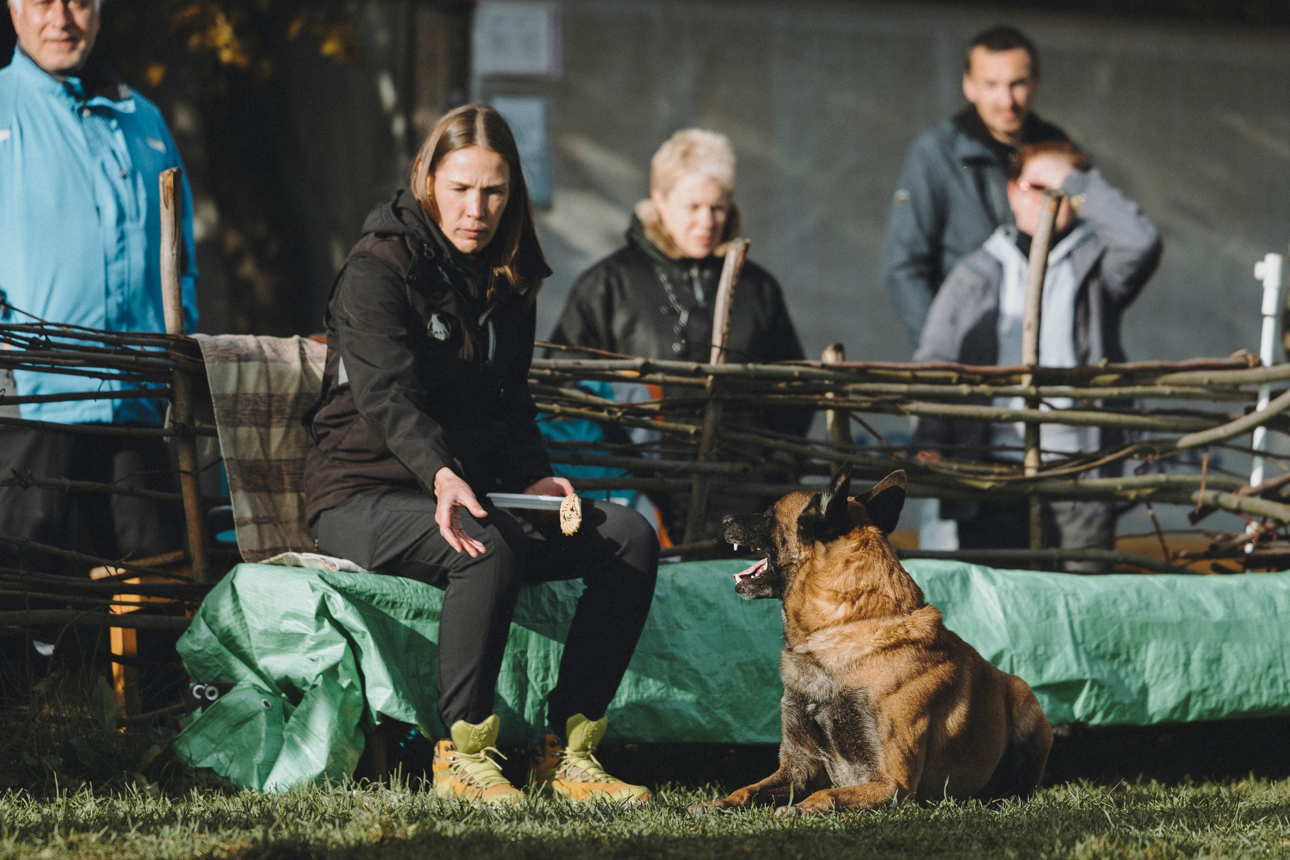 Испытания по мондьорингу г. Пушкин 29.09.2024. Фотограф-анималист Анна Маринич