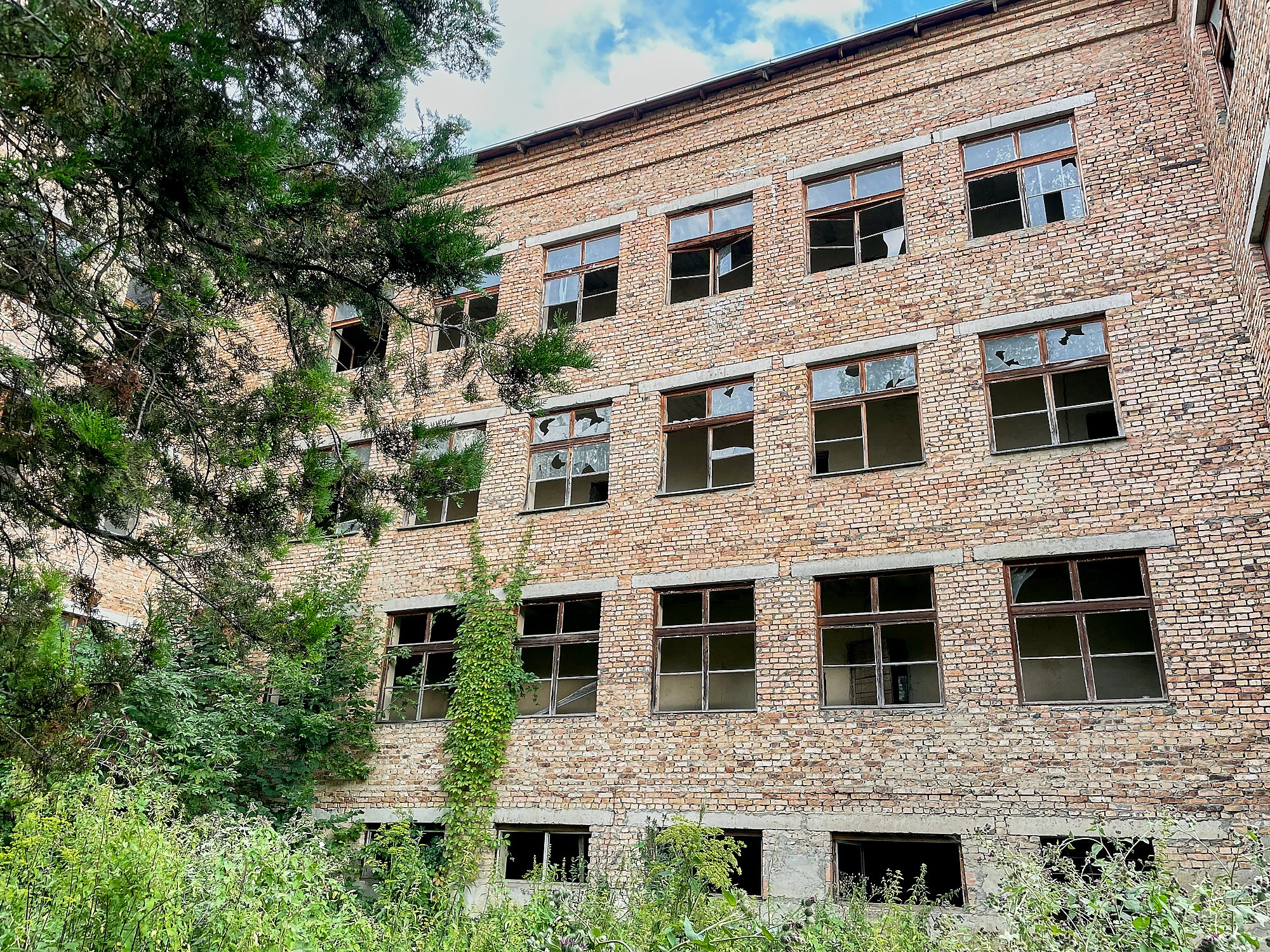 Санаторий им. Семашко, Кисловодск, август 2024. Фотографии отовсюду и обо всем