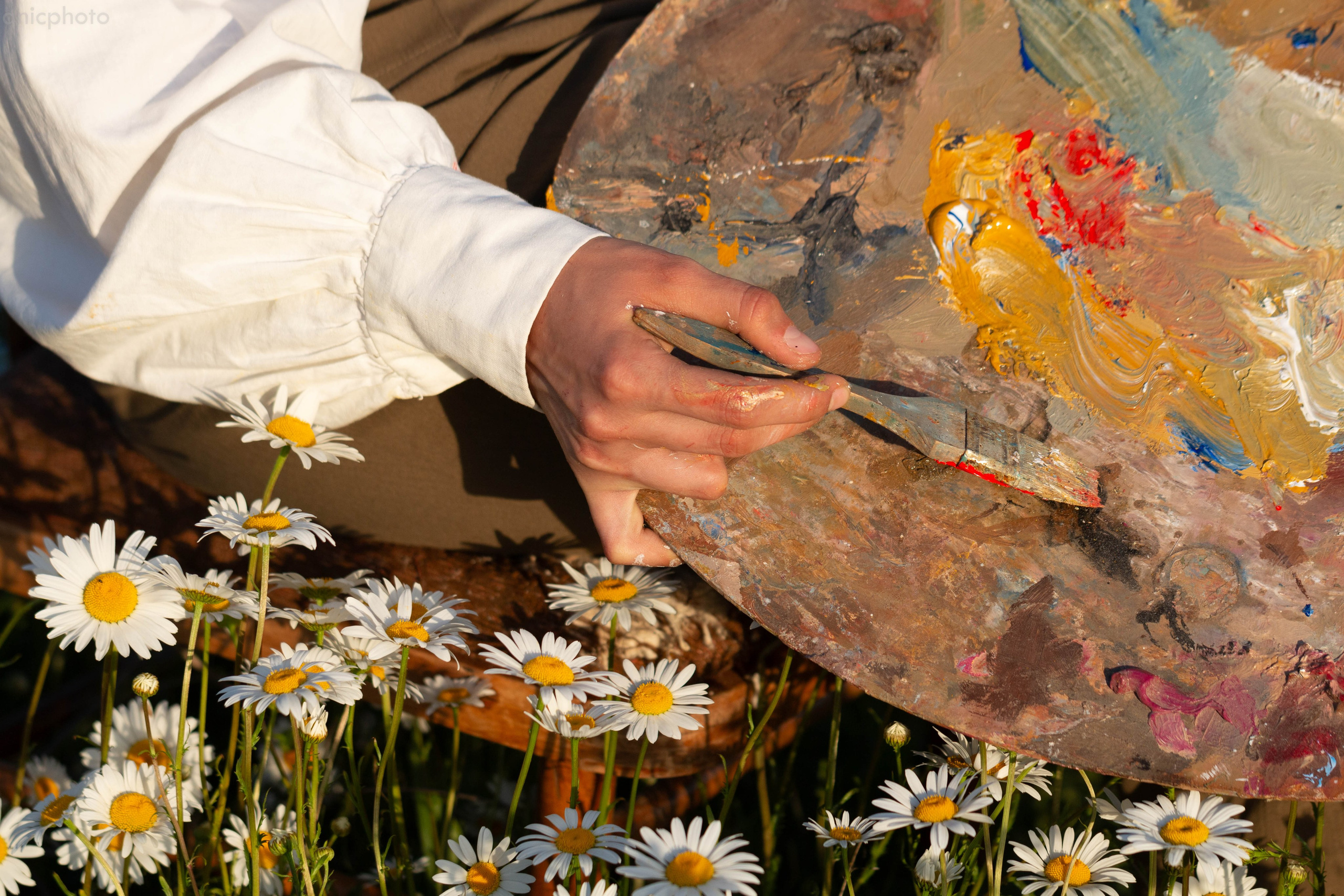 Эрика. Аник фотограф Симферополь, Крым