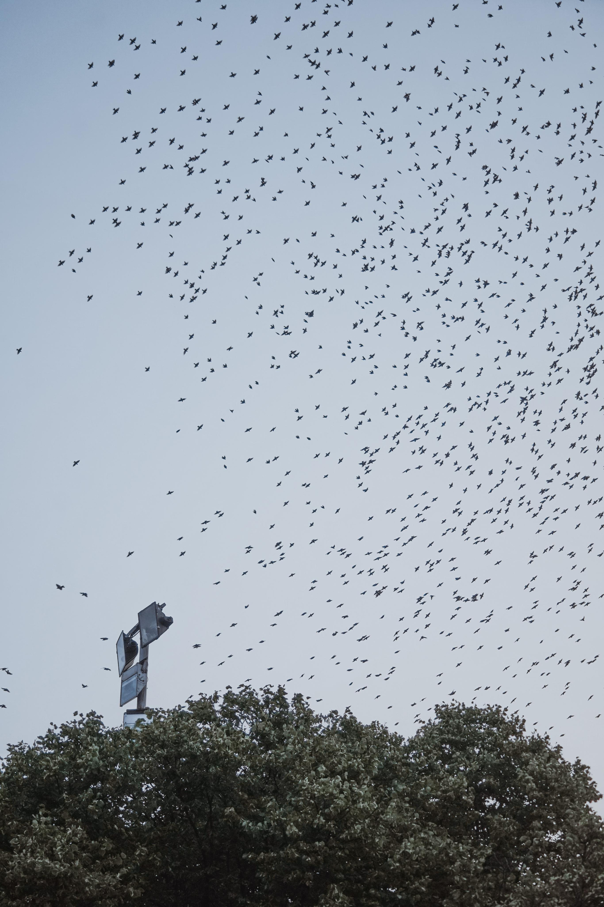 VK Fest Moscow. Photo, Москва | Romas.ph