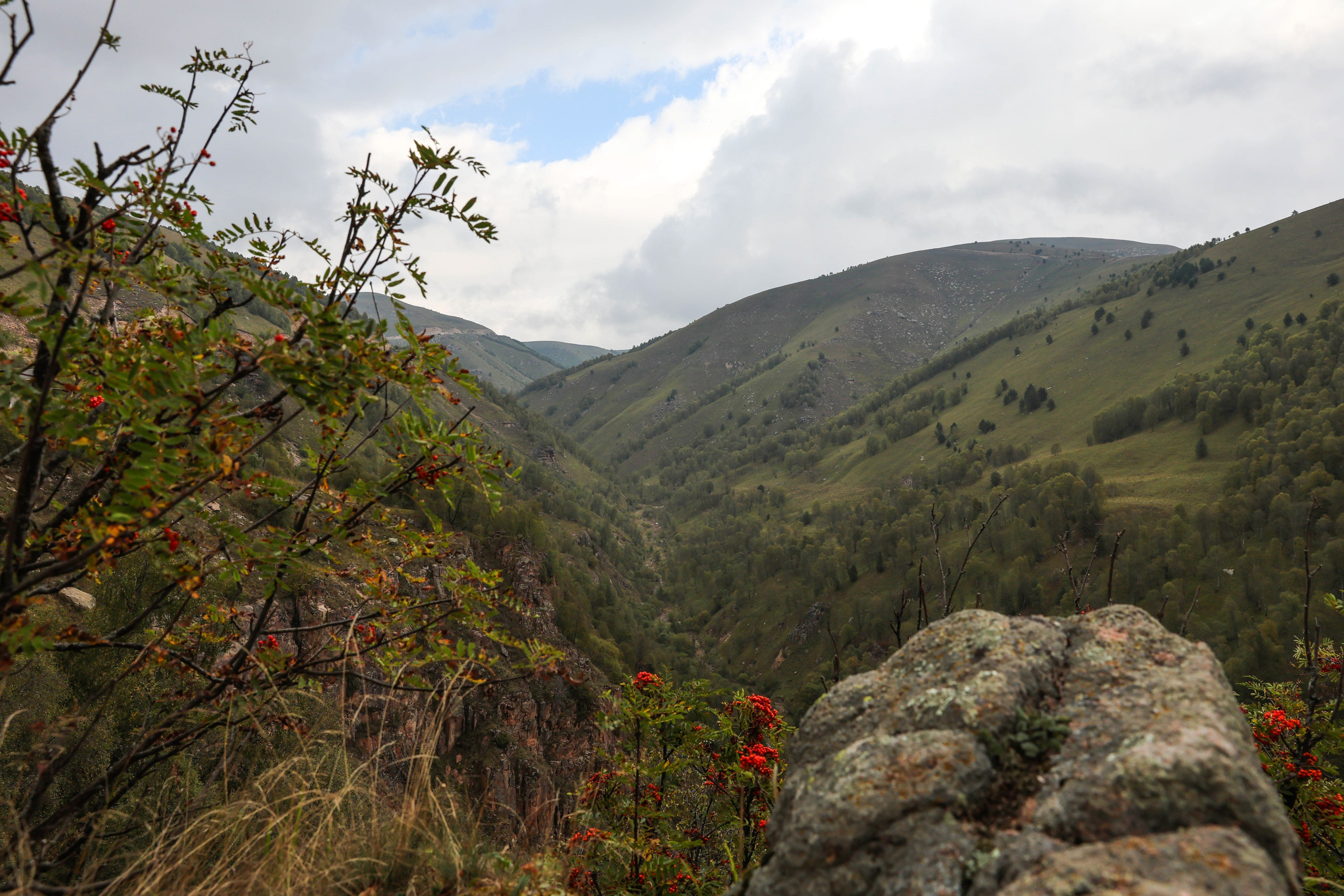 Фотограф Мария Алексеева. Мария Алексеева. Фотограф в Москве