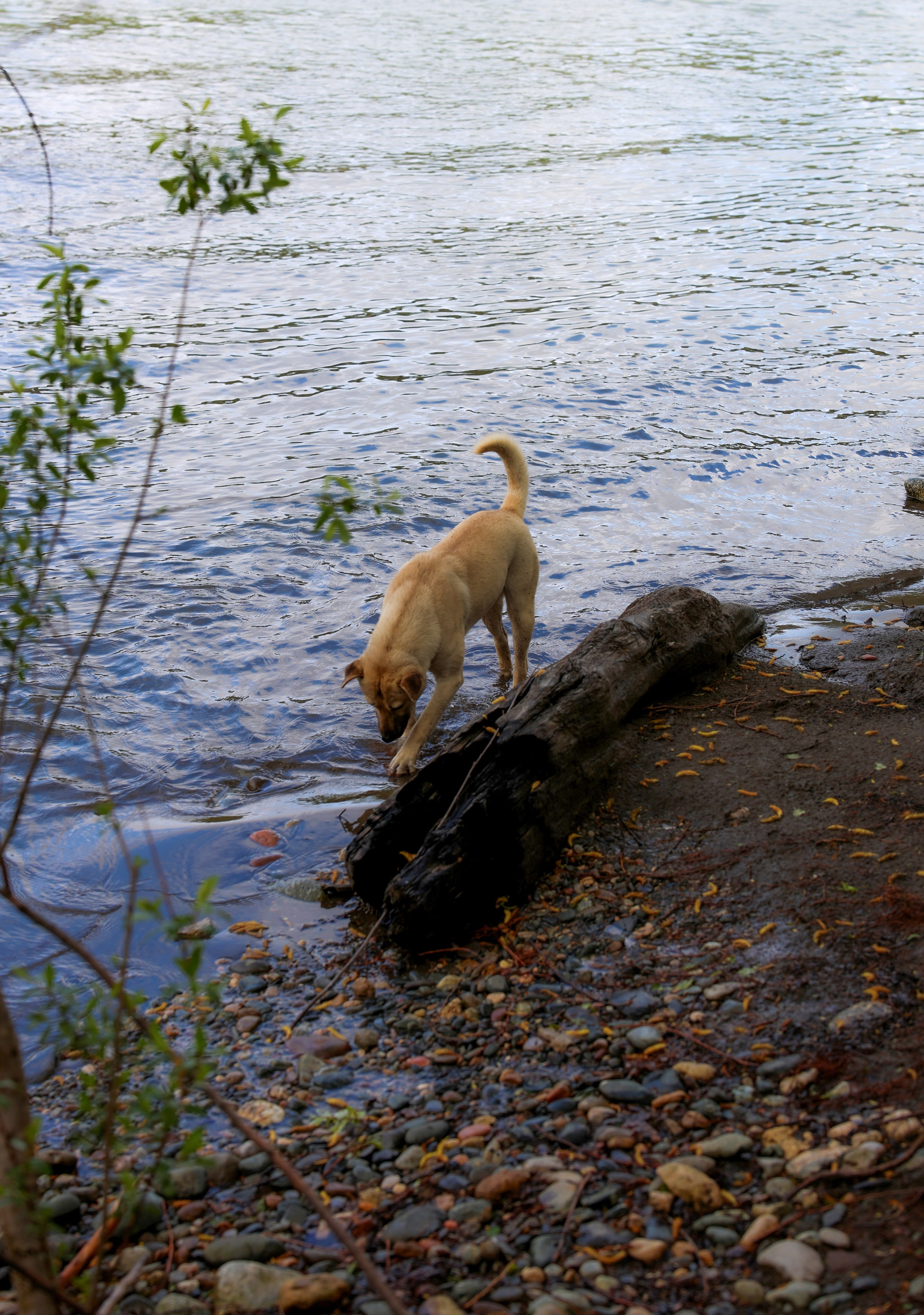 Фотограф Мария Алексеева. Мария Алексеева. Фотограф в Москве