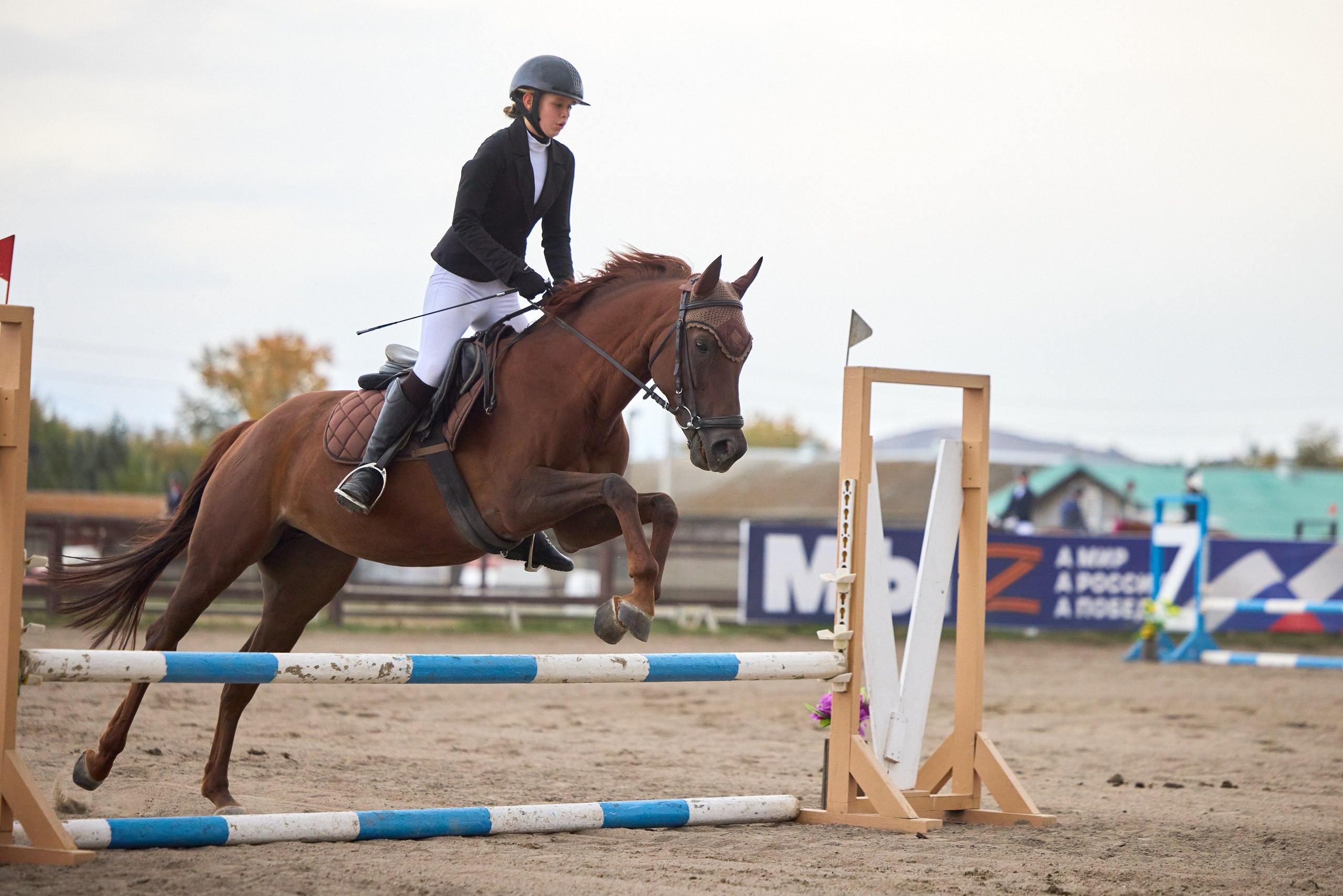 Конкур на Абаканском ипподроме. Ваши Истории. Фотограф/видеограф. Абакан