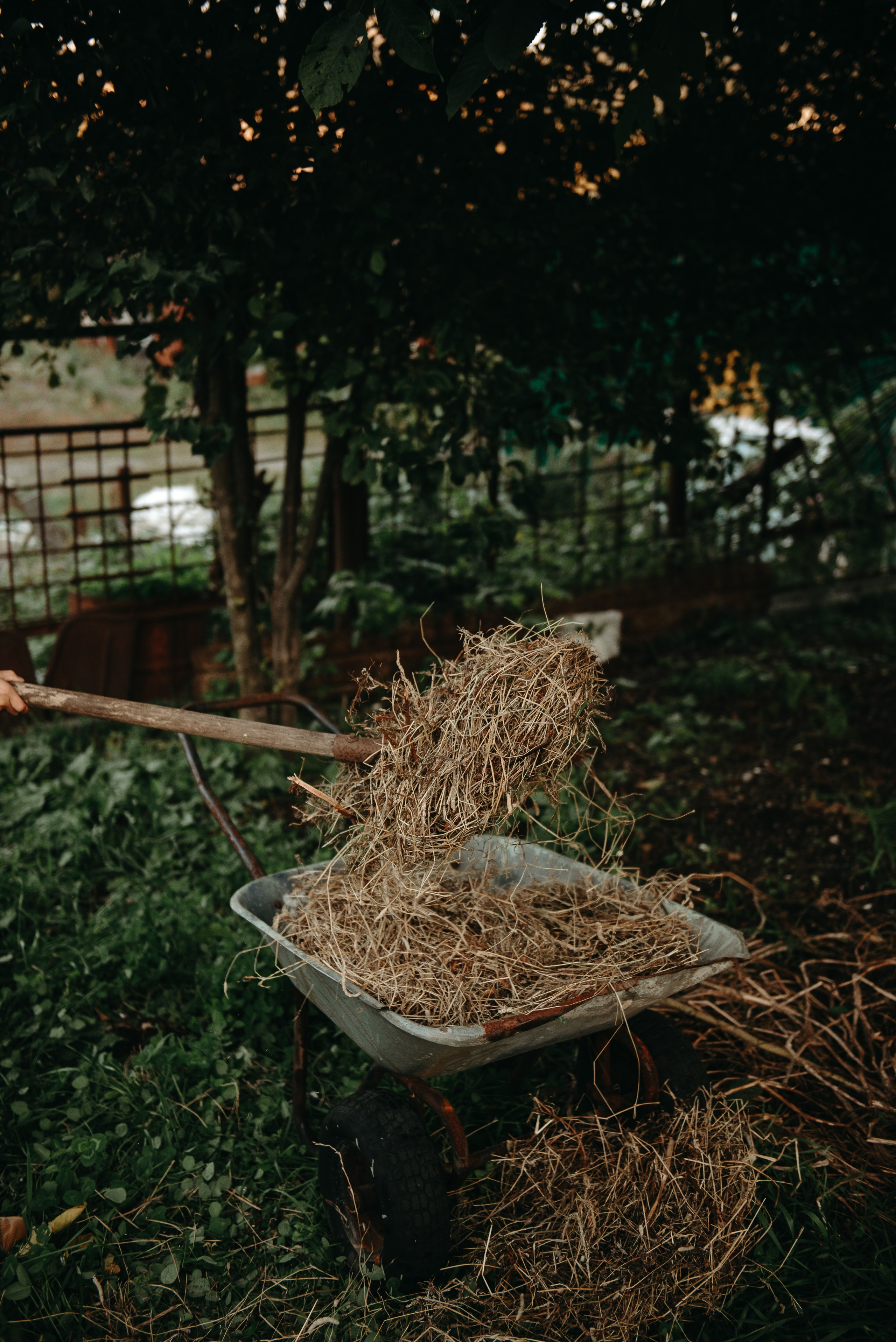Друзья на даче. Ирина Метелица фотограф на Шикотане