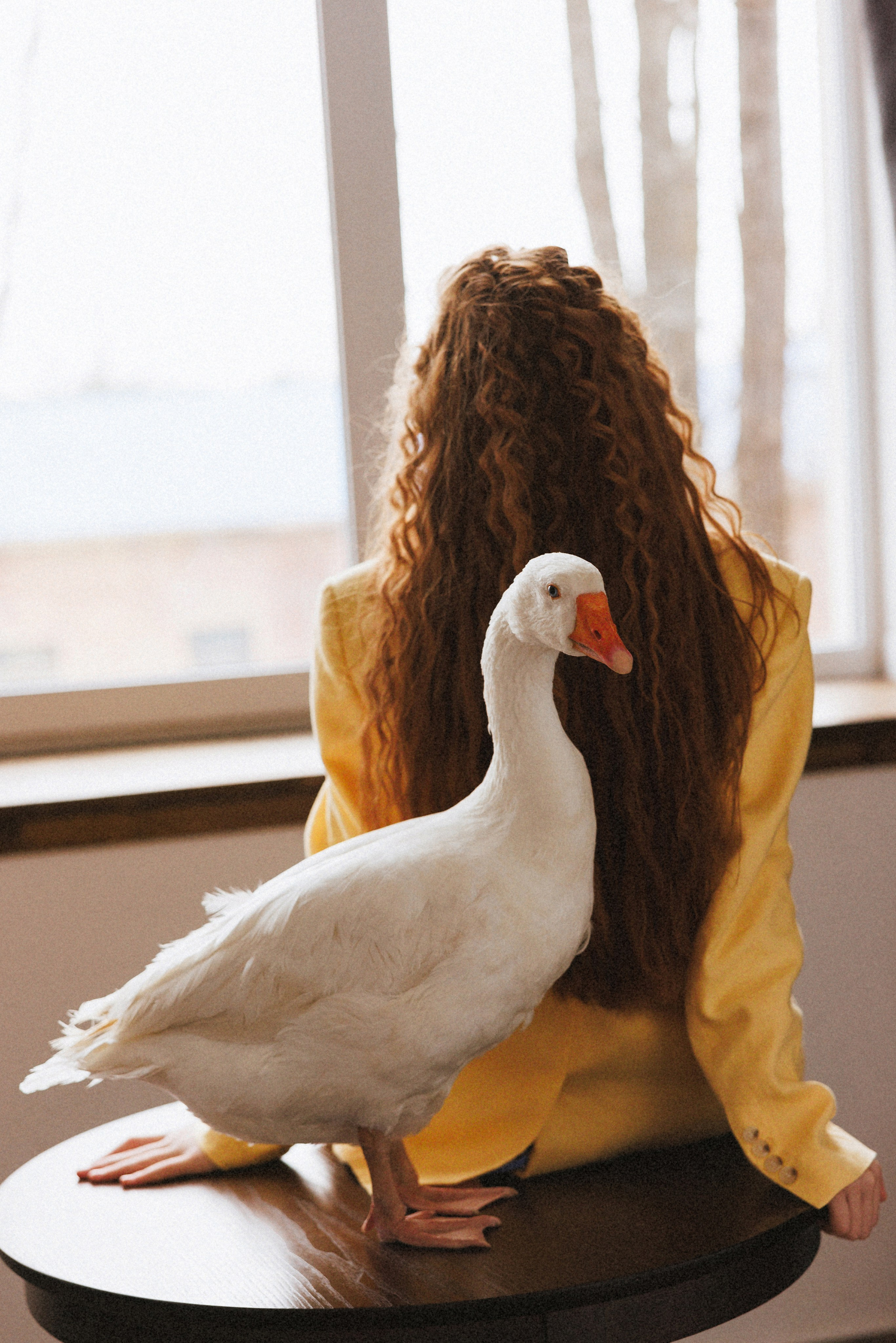 Фотосессия с Гусем в фотостудии «Lite, город Краснодар. Семейный и детский фотограф в Краснодаре Анна Трашкова