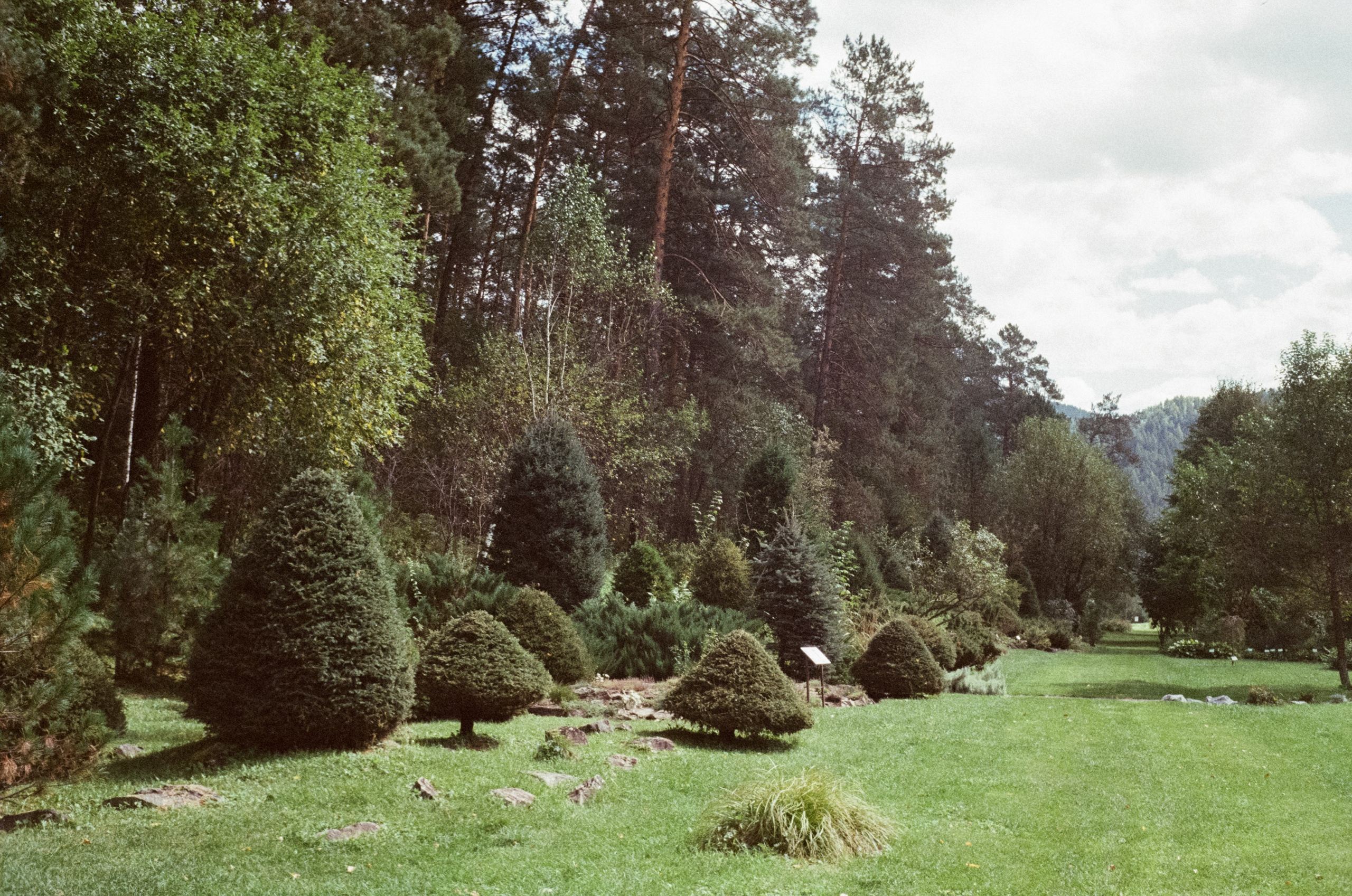 Горно-алтайский ботанический сад, база Кедровый остров / 27 августа 2024 года