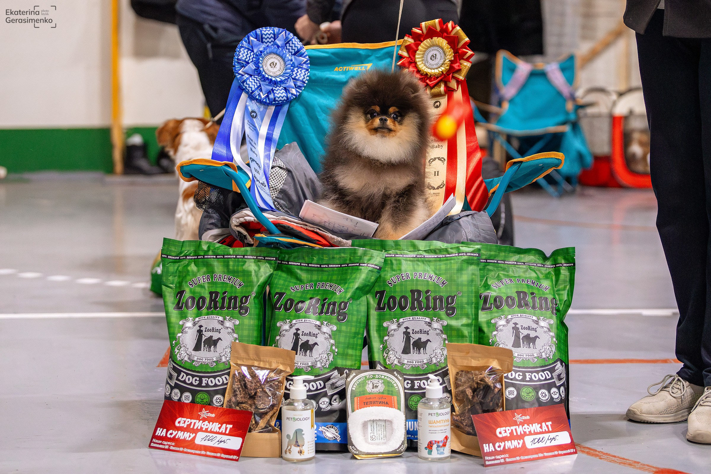 23 ноября 2024, Выставка РКФ, г. Пермь. Htykk_photo