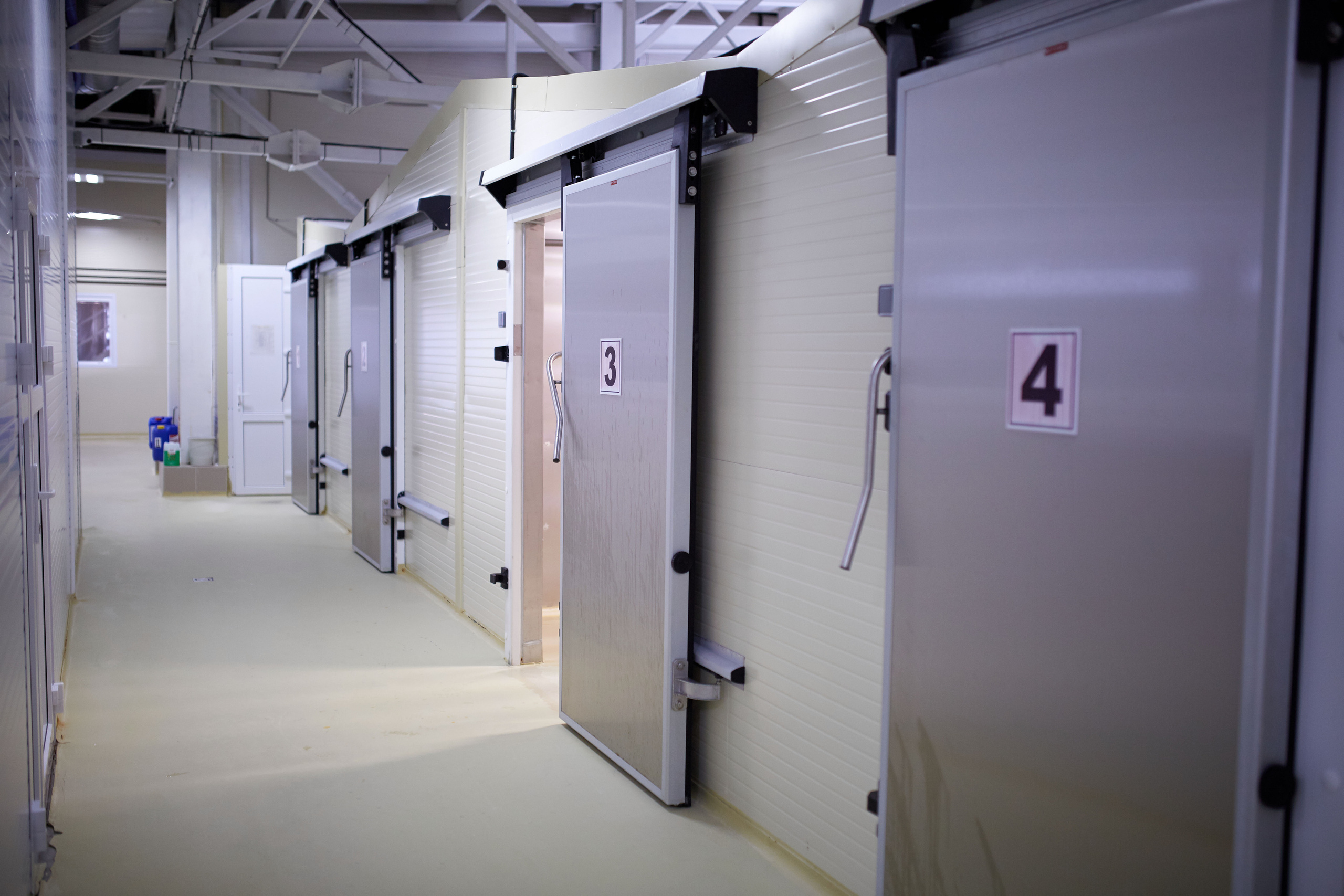 Контент для бизнеса. Фотограф Эдуард Леньков. Ростов-на-Дону