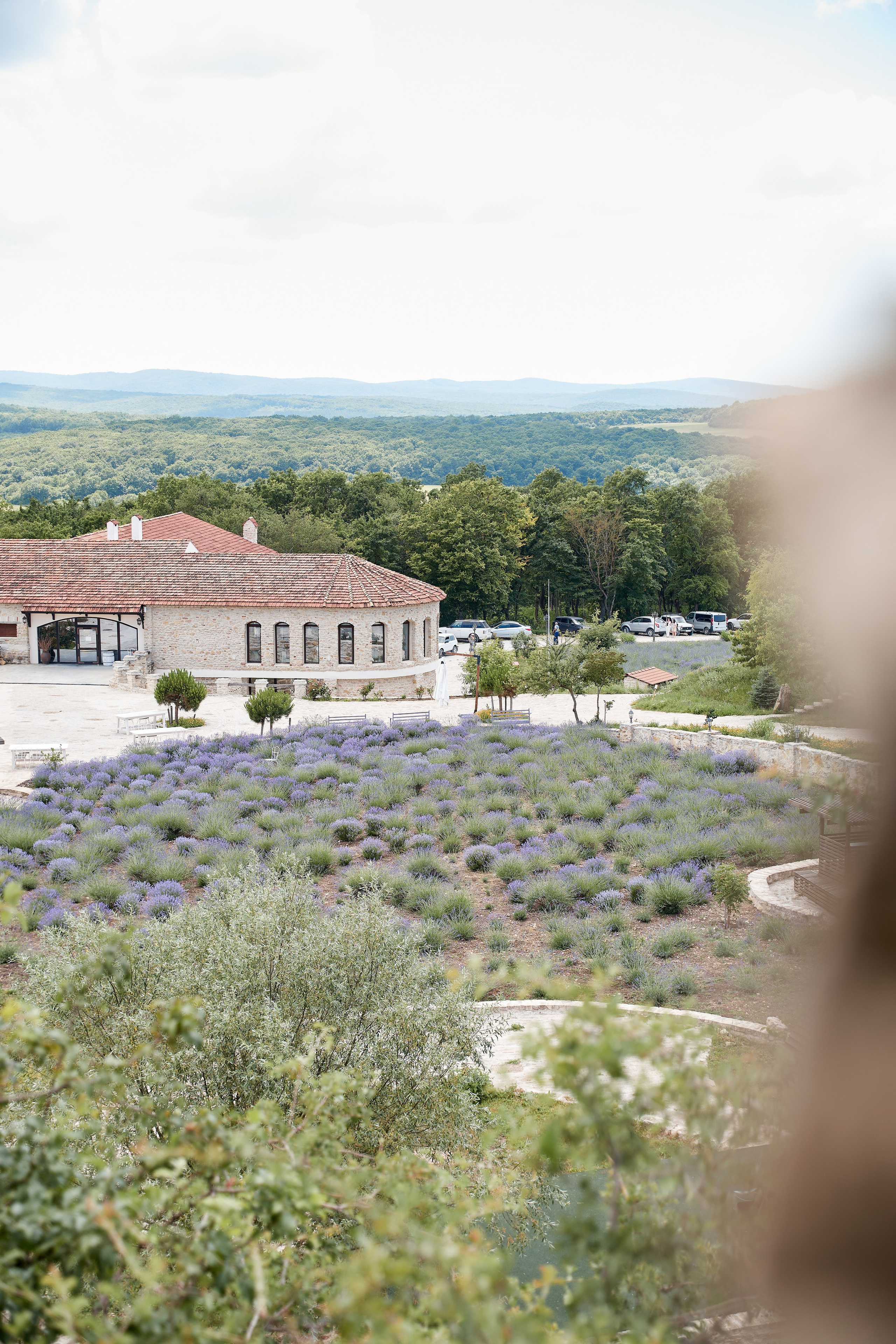 ОДНА ВИНОДЕЛЬНЯ. Репортажный и мужской фотограф в Краснодаре. Фотограф в Краснодаре