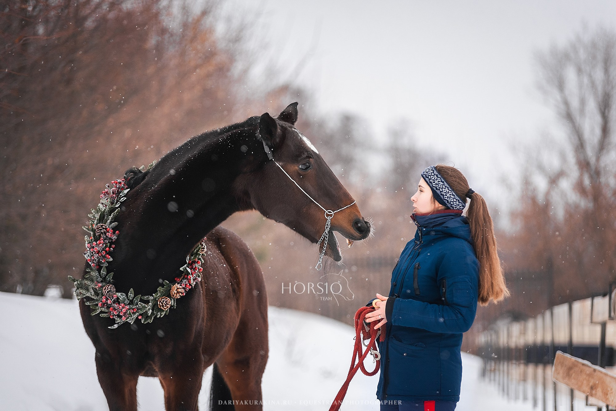 Димонс, HORSIO. Конный фотограф Куракина Дарья • Фотосессии с лошадьми