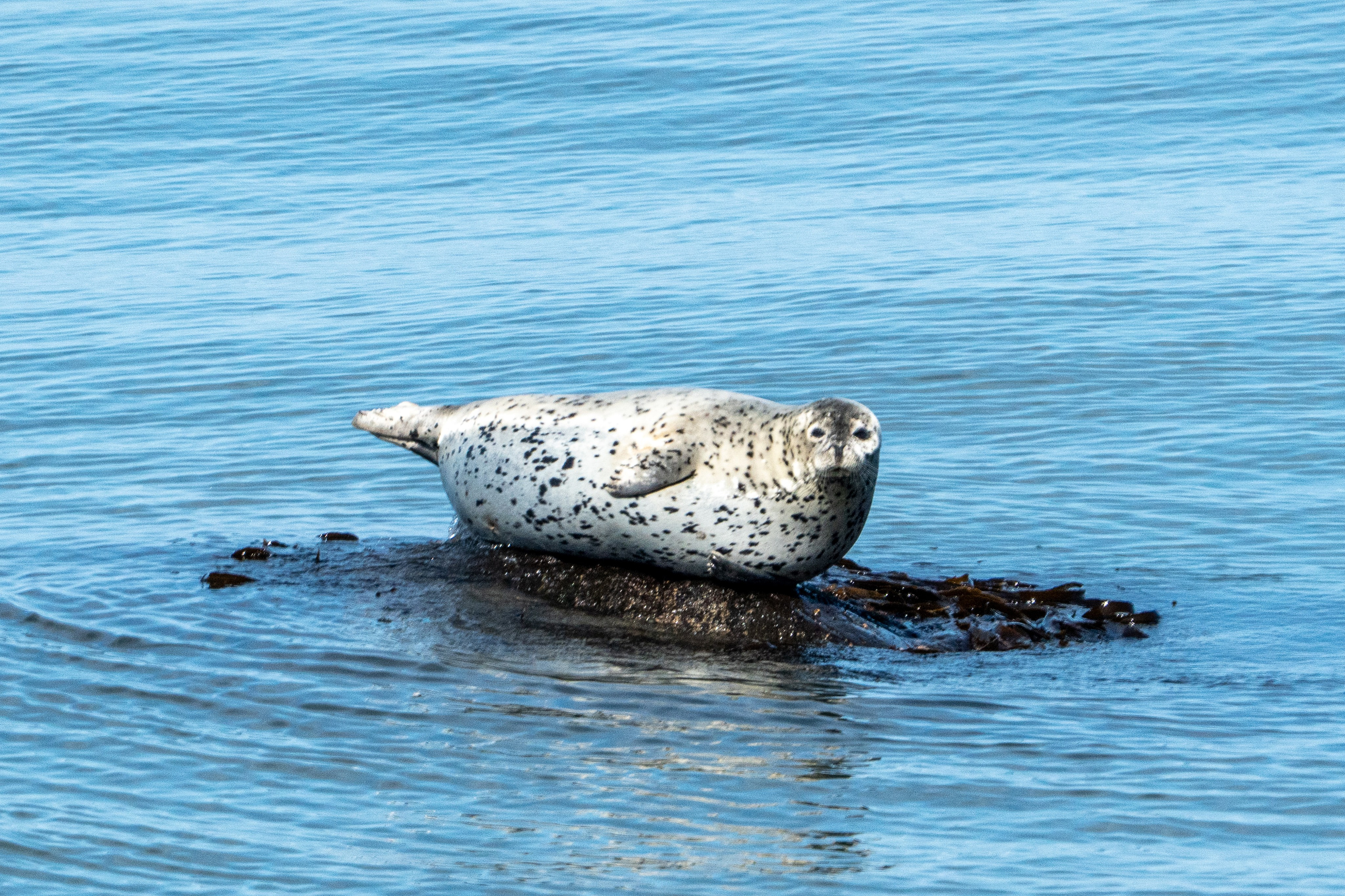 Сахалин 2025. Творческие сьемки