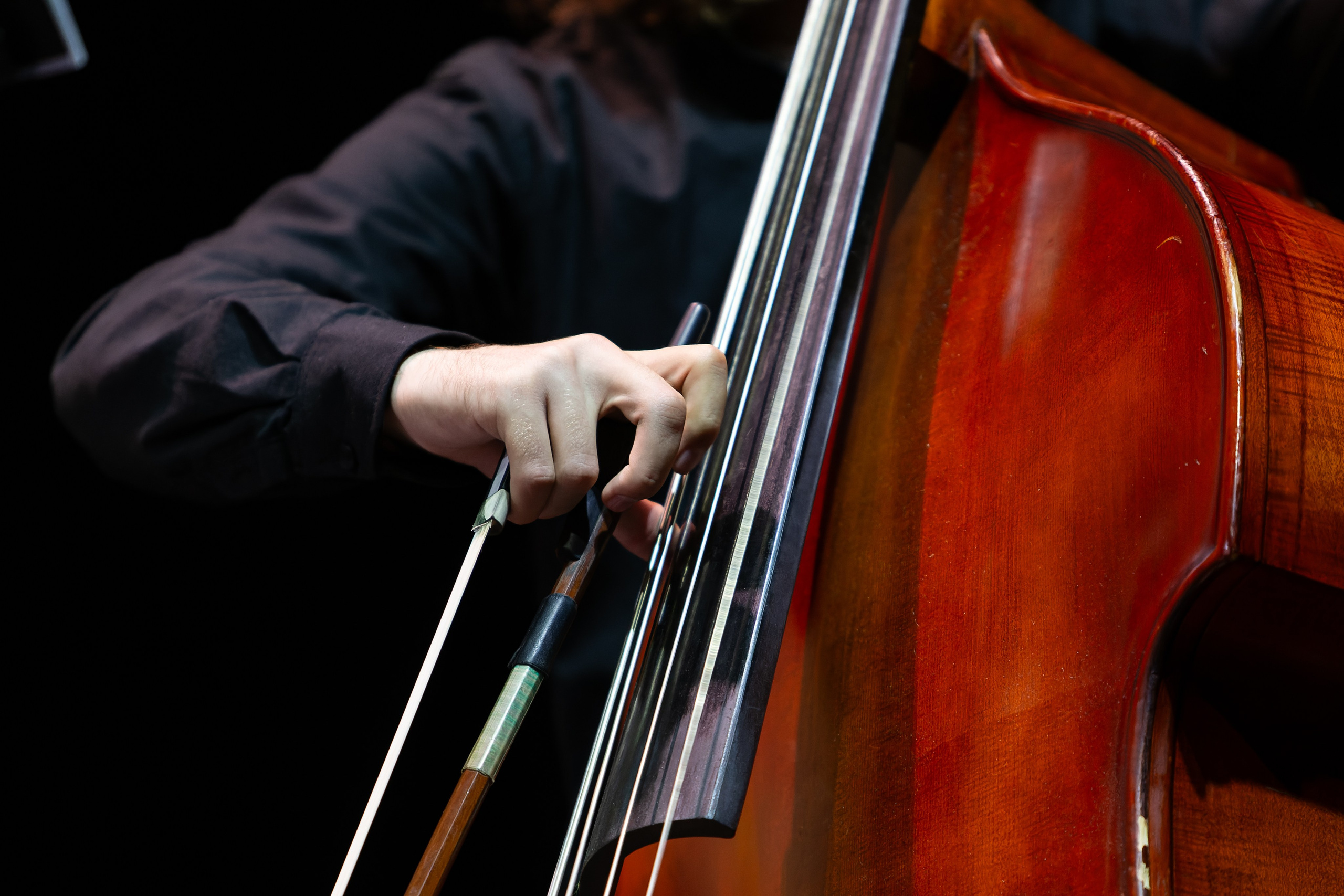 Концерт Южно-Сахалинского симфонического оркестра. Кутузов Евгений Фотограф в Южно-Сахалинске