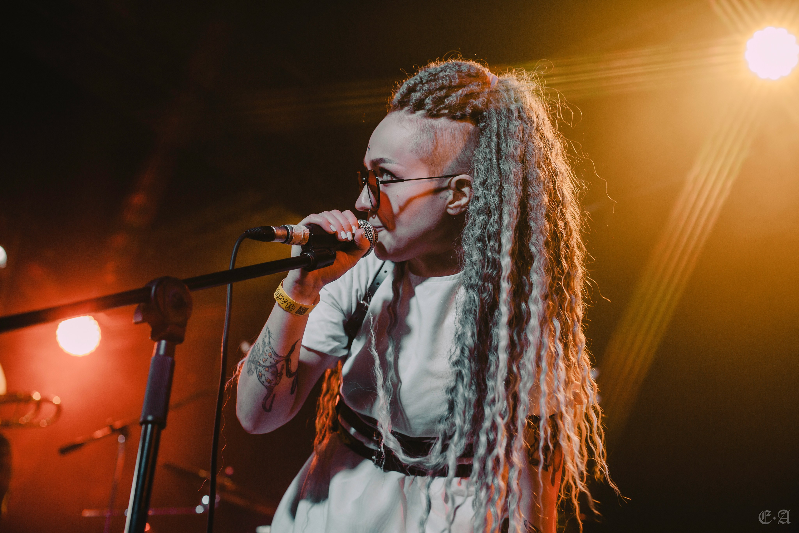 Концертное портфолио. Фотограф Ellairen