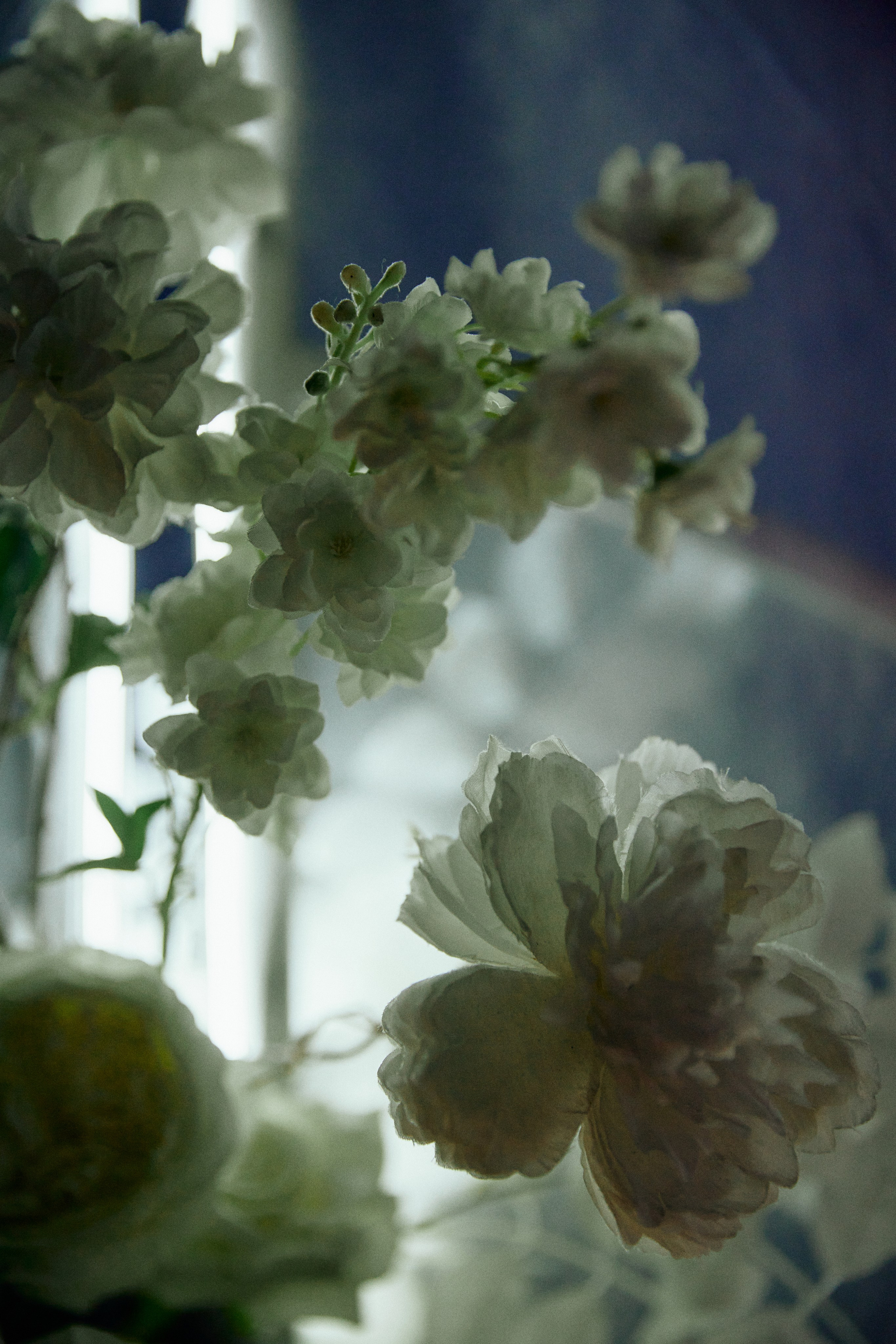 Свадебная фотосессия актера и певцы — Портфолио Дмитрия Мазуркевича. Дмитрий Мазуркевич: Профессиональный Репортажный Фотограф