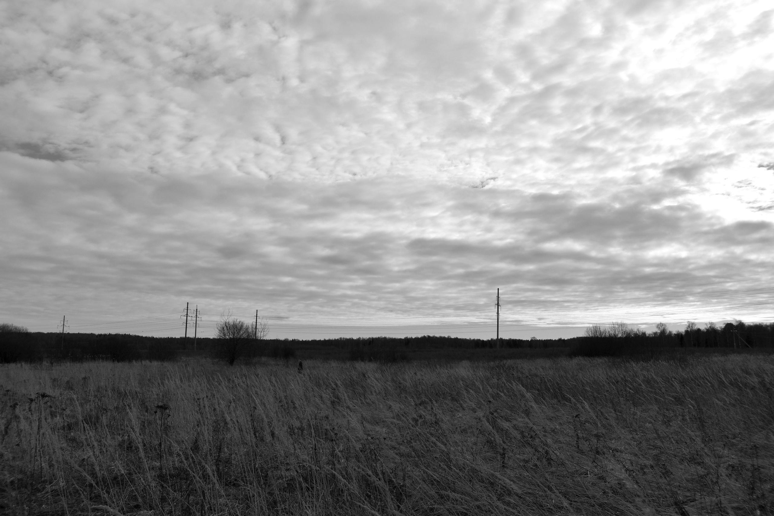 Обоюдное проникновение. Микс-медиа художница Надежда Пророкова