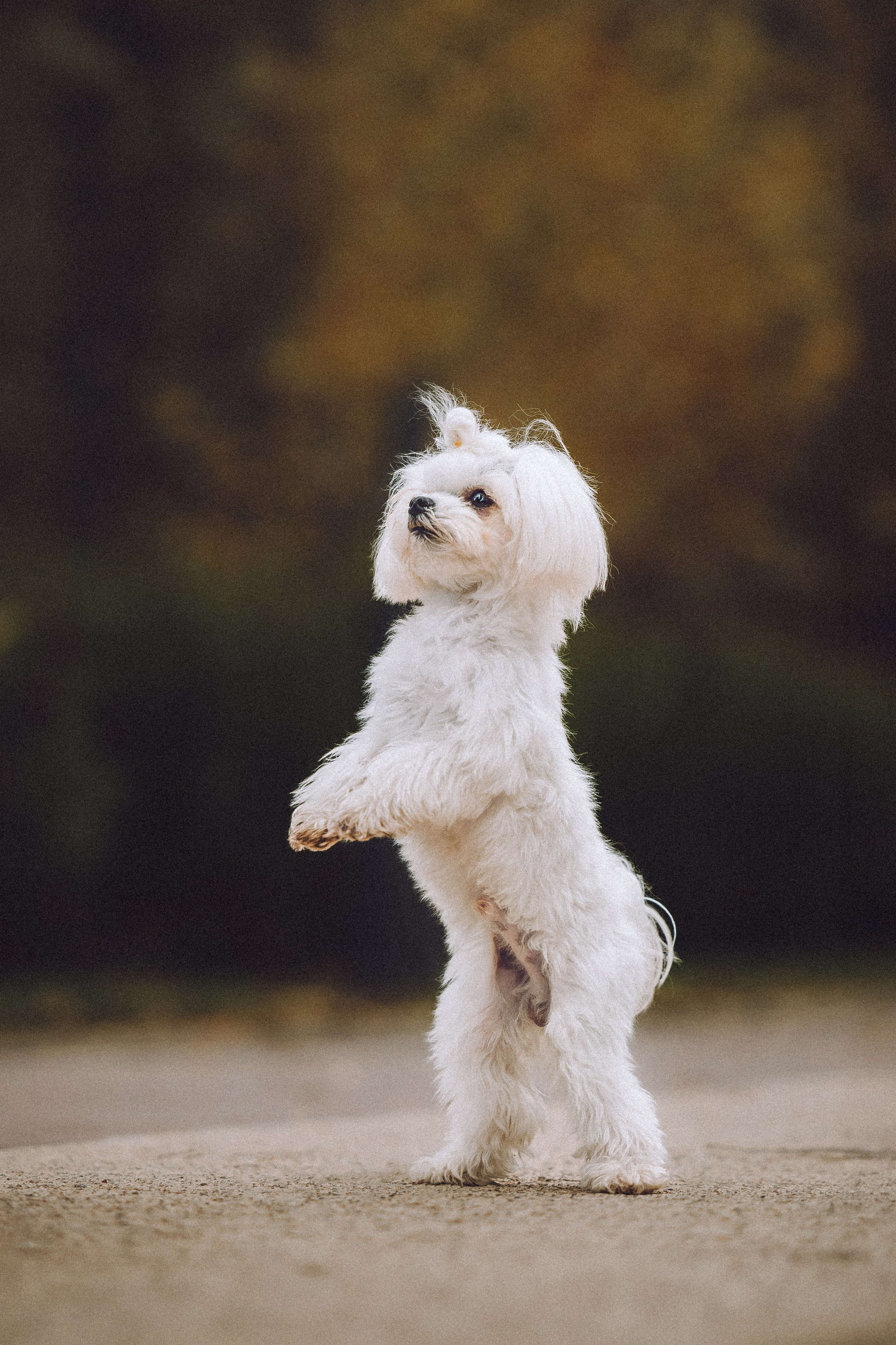 Настя и Гоша