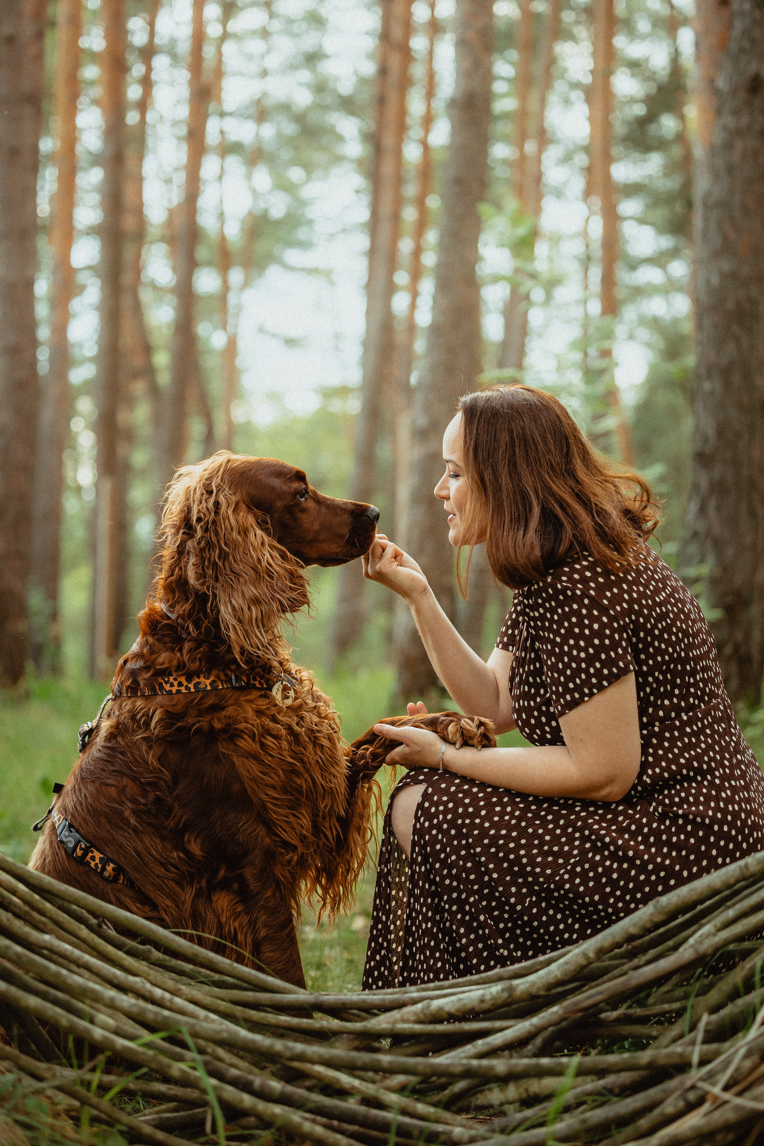 Выездной дог-тренинг от школы «Шерсть имею»