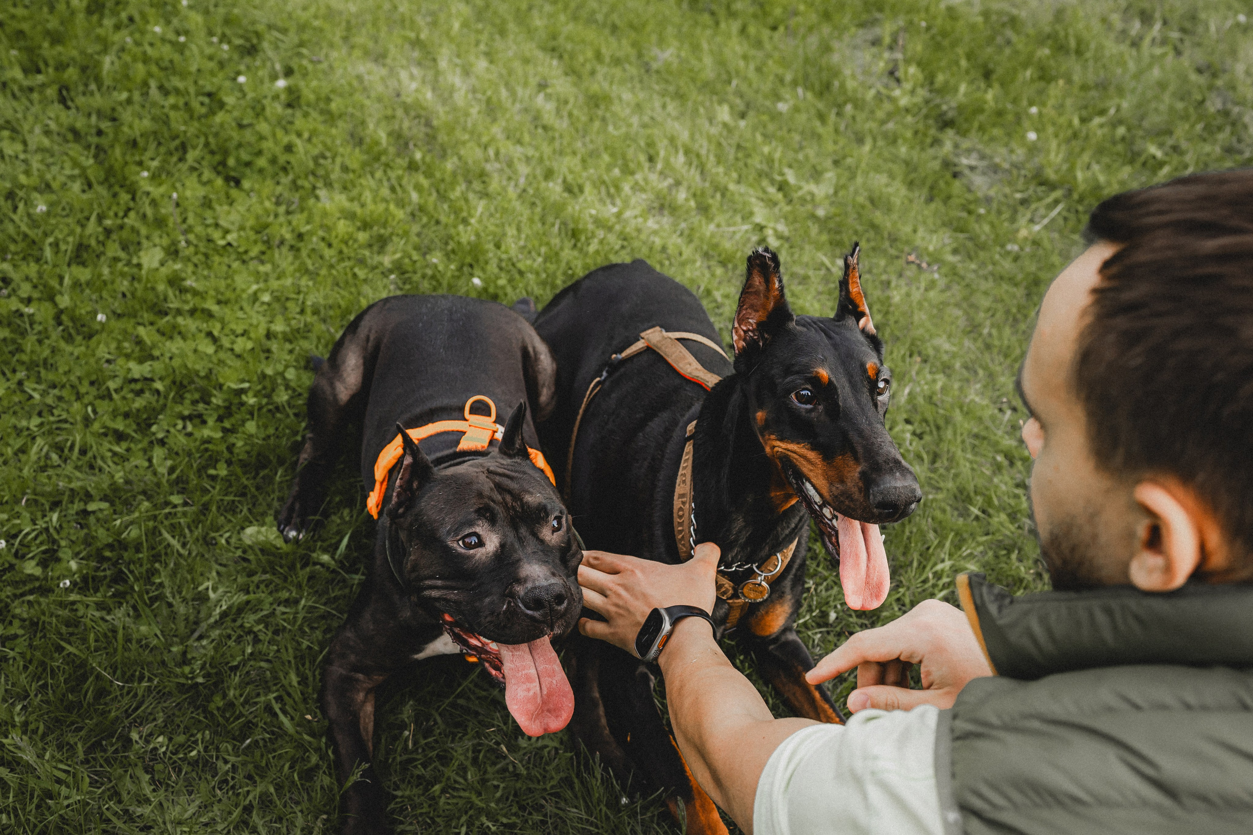 Паша, Хайди и Тея